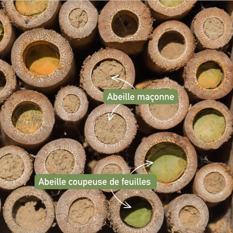 hotel-nichoir-abeilles-solitaires-et-sauvages (2).jpg
