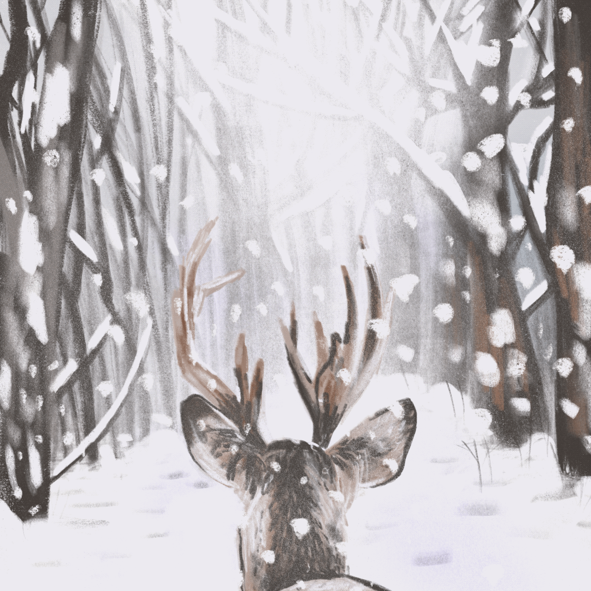 Snowy Day 