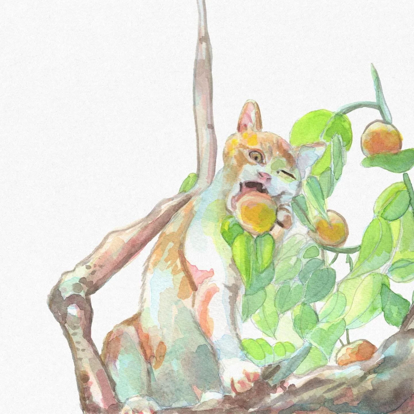 Orange Cat 🍊🐈

#aquarelle #aquarellepainting #catillustration #illustration #watercolor