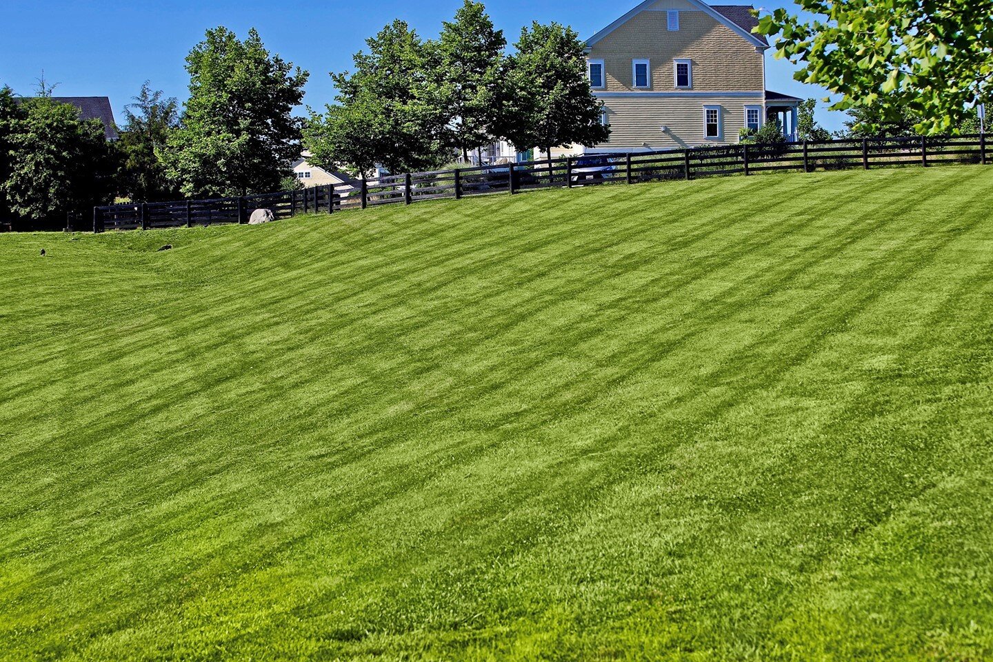 A look at the work our fantastic Virginia maintenance division does at Willowsford. We even treat the dog park like it's a country club!

https://www.downtoearthlandscaping.com/grounds-maintenance
.
.
#dogpark #dogrun #landscaping #lawn #mowing #main