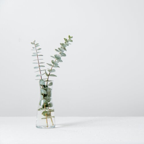 static1.squarespace-2.jpg