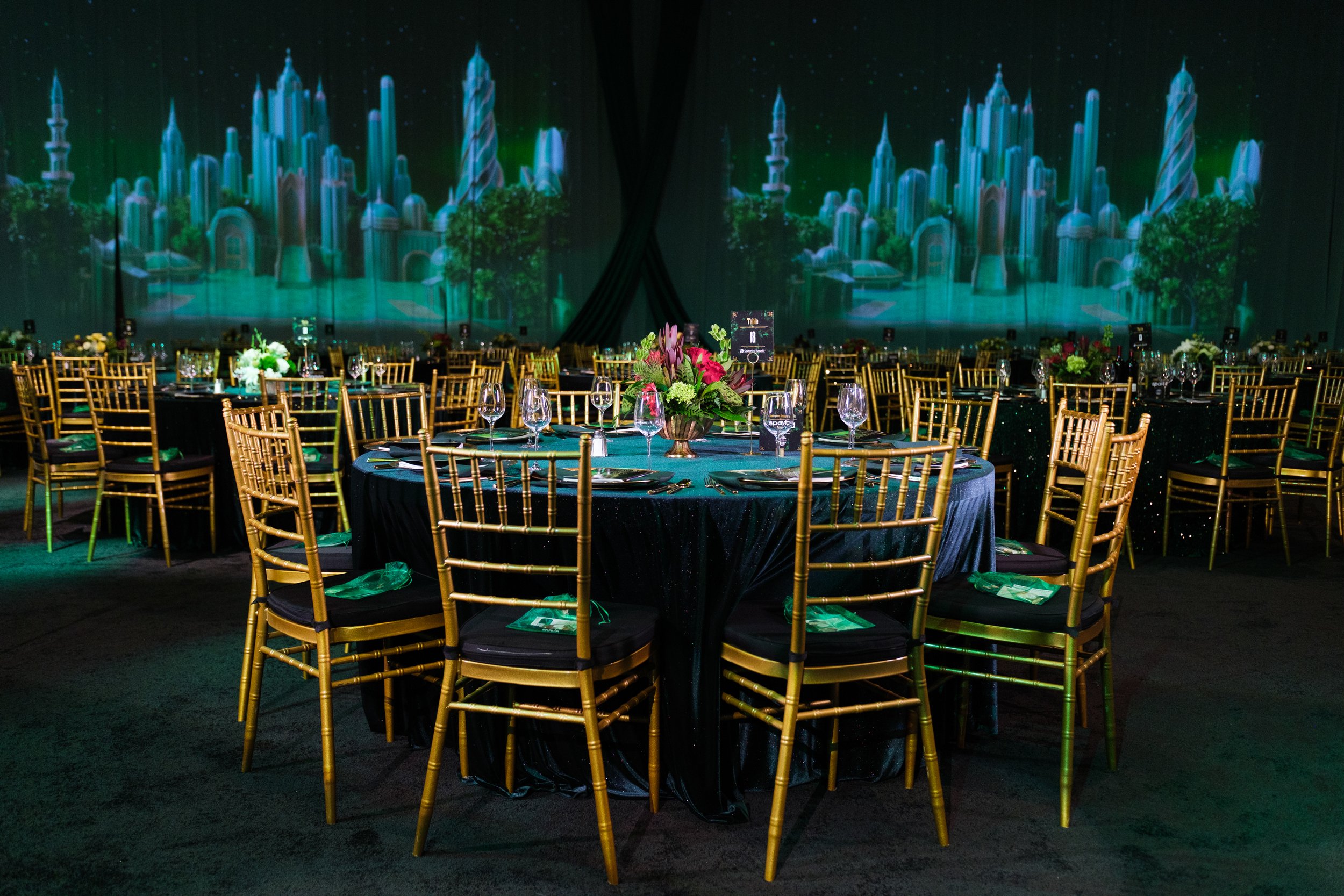 Charity Gala Wizar of Oz Themed