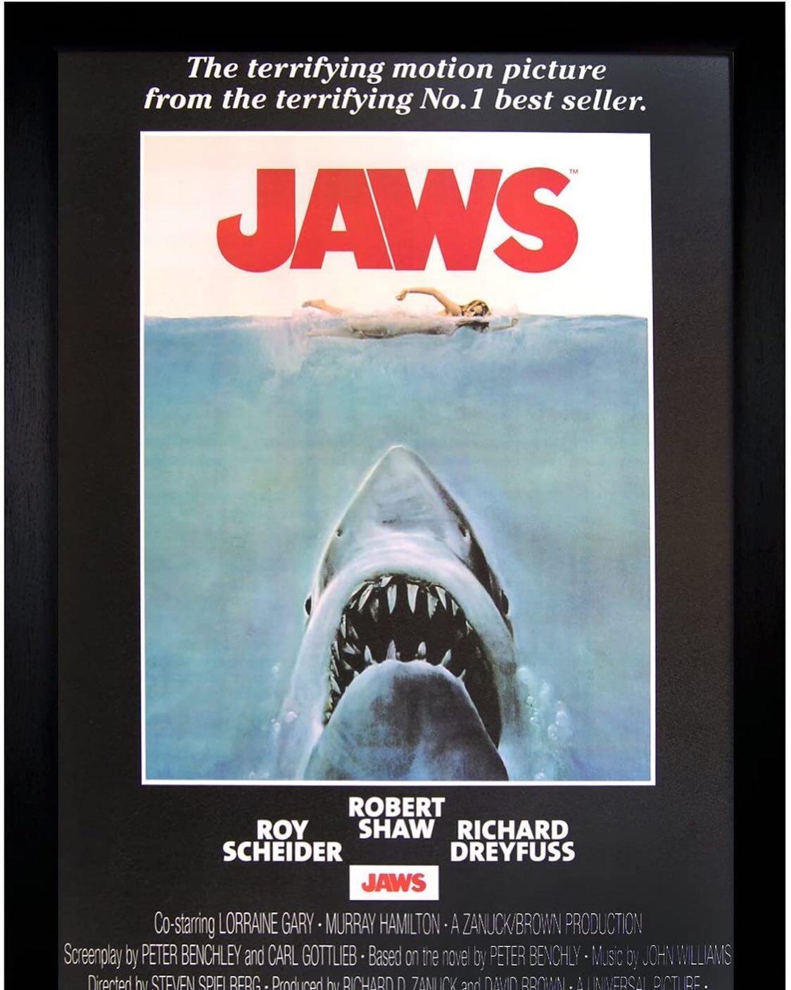 Wrap up the 4th of July weekend alongside HMF as we head out to the beach to take on the classic flick JAWS with my friend Ari! 

Apple podcasts: https://podcasts.apple.com/us/podcast/horror-fying-my-friends/id1495709006?i=1000527855182

Spotify: htt