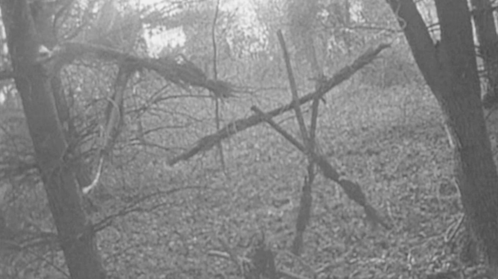 Ep 77: The Blair Witch Project with Haley