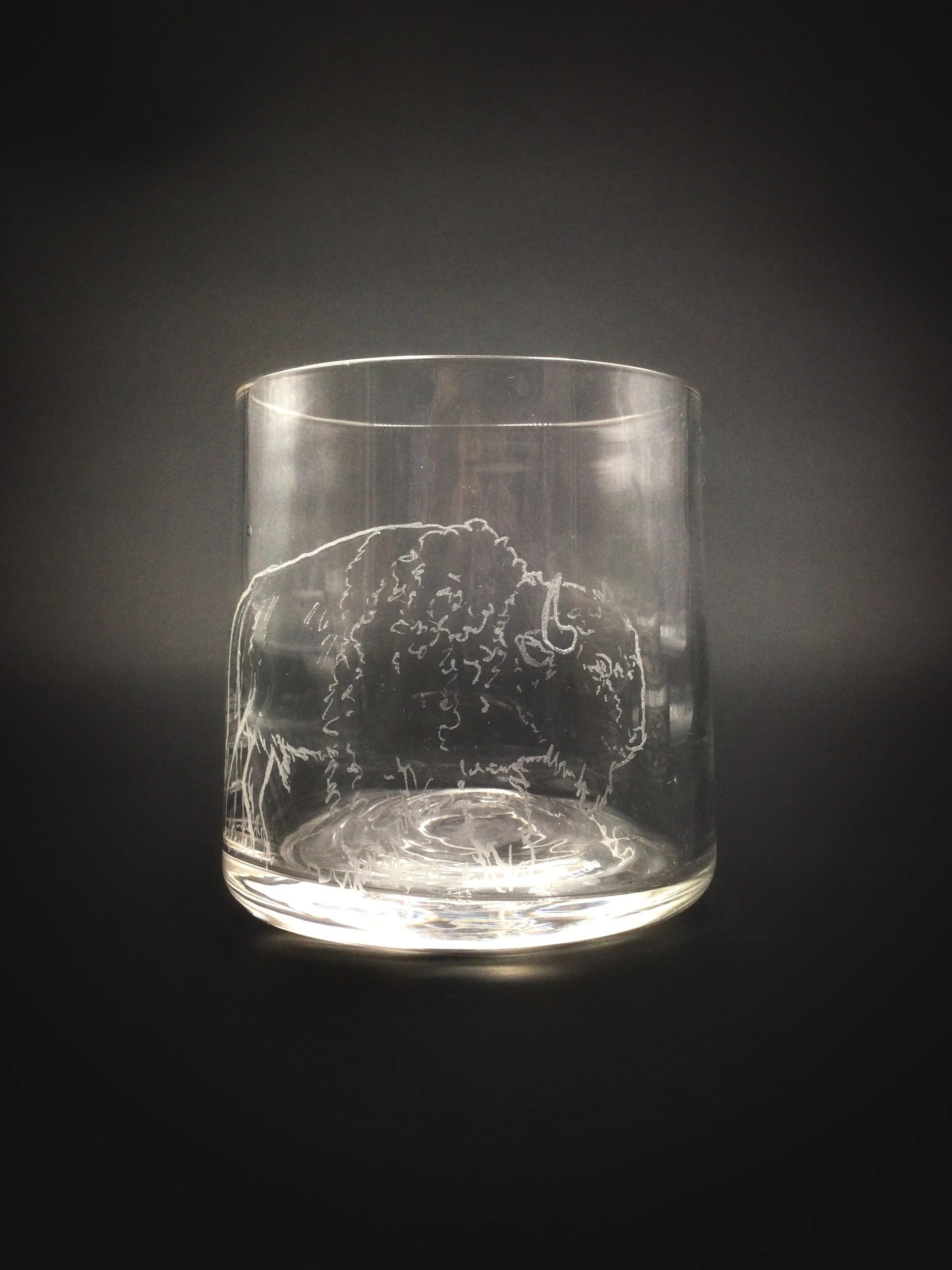 Bison Rocks Glass