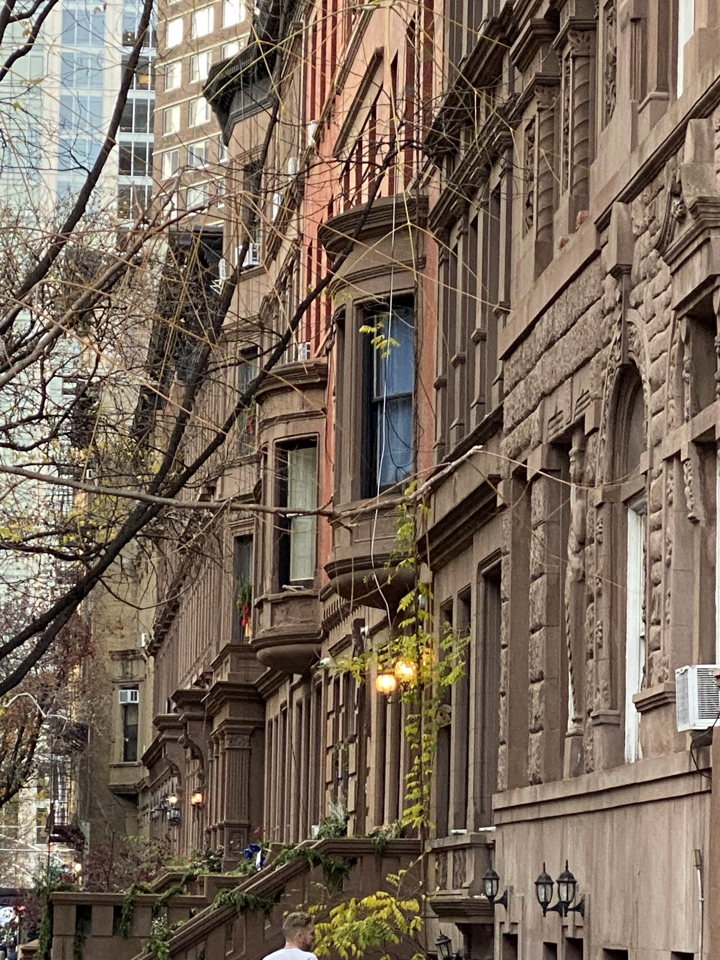 IMG_0498.jpeg