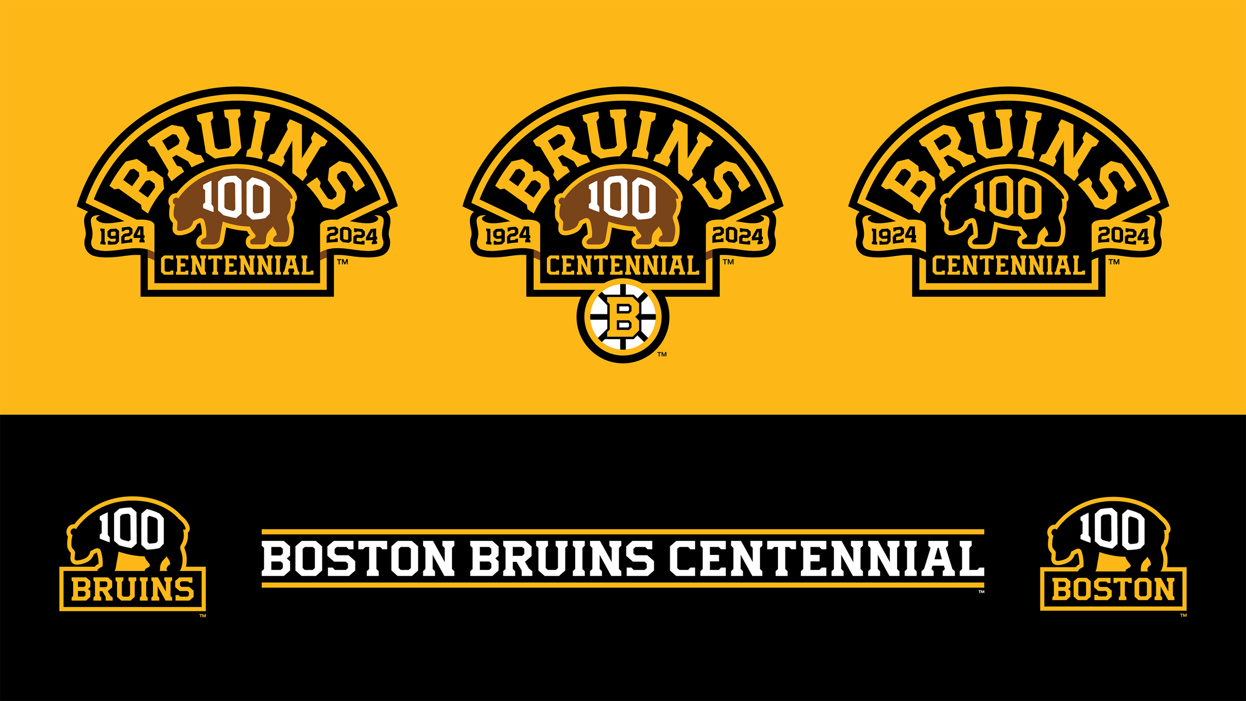 Bruins_100_CaseStudy-01.png