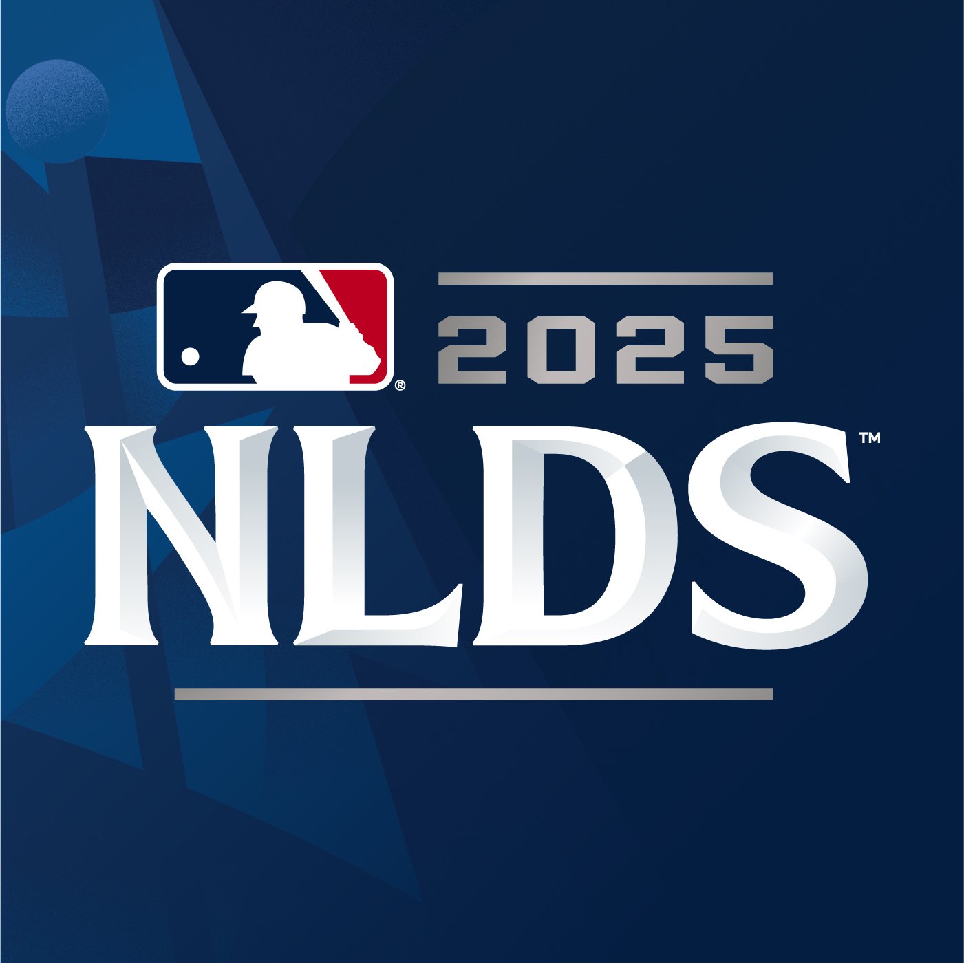 WS25_Website_Layout_DS-CS_NLDS - Logo_sq.jpg
