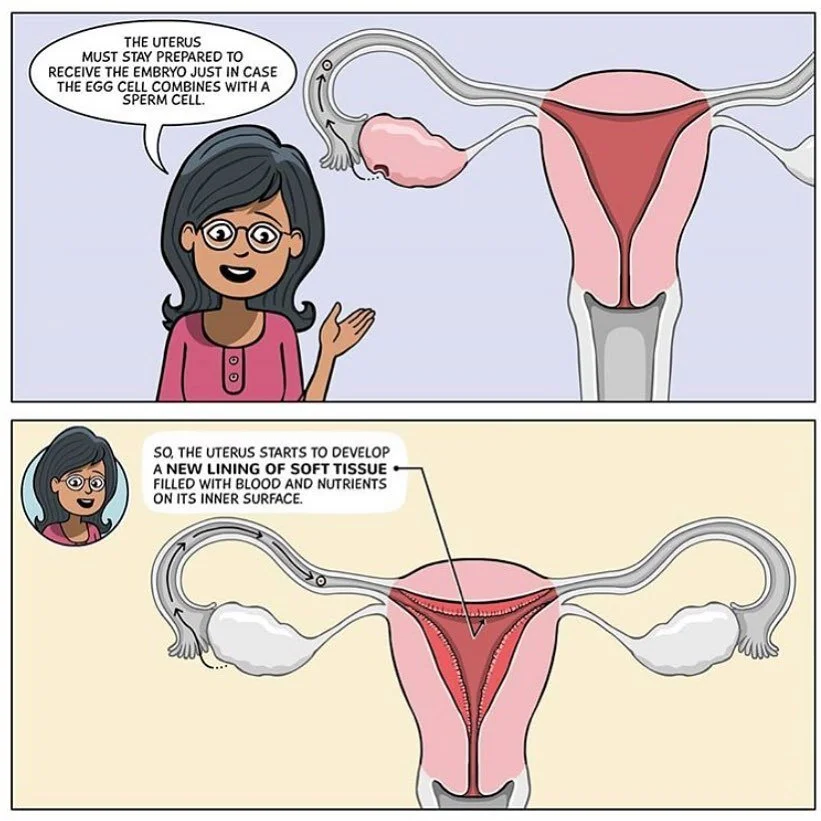 A graphic novel about menstruation?? @menstrupedia introduces readers to a number of characters that help answer (and ask) questions about menstruation. #menstrualeducation #menstrualeducationmatters