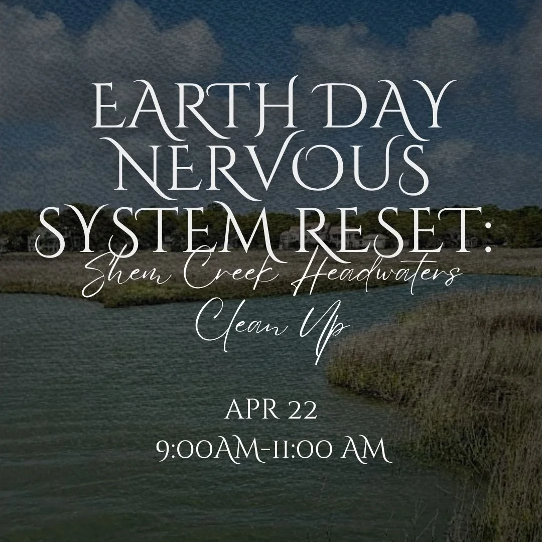 Earth Day Nervous System Reset: Shem Creek Headwaters Clean Up