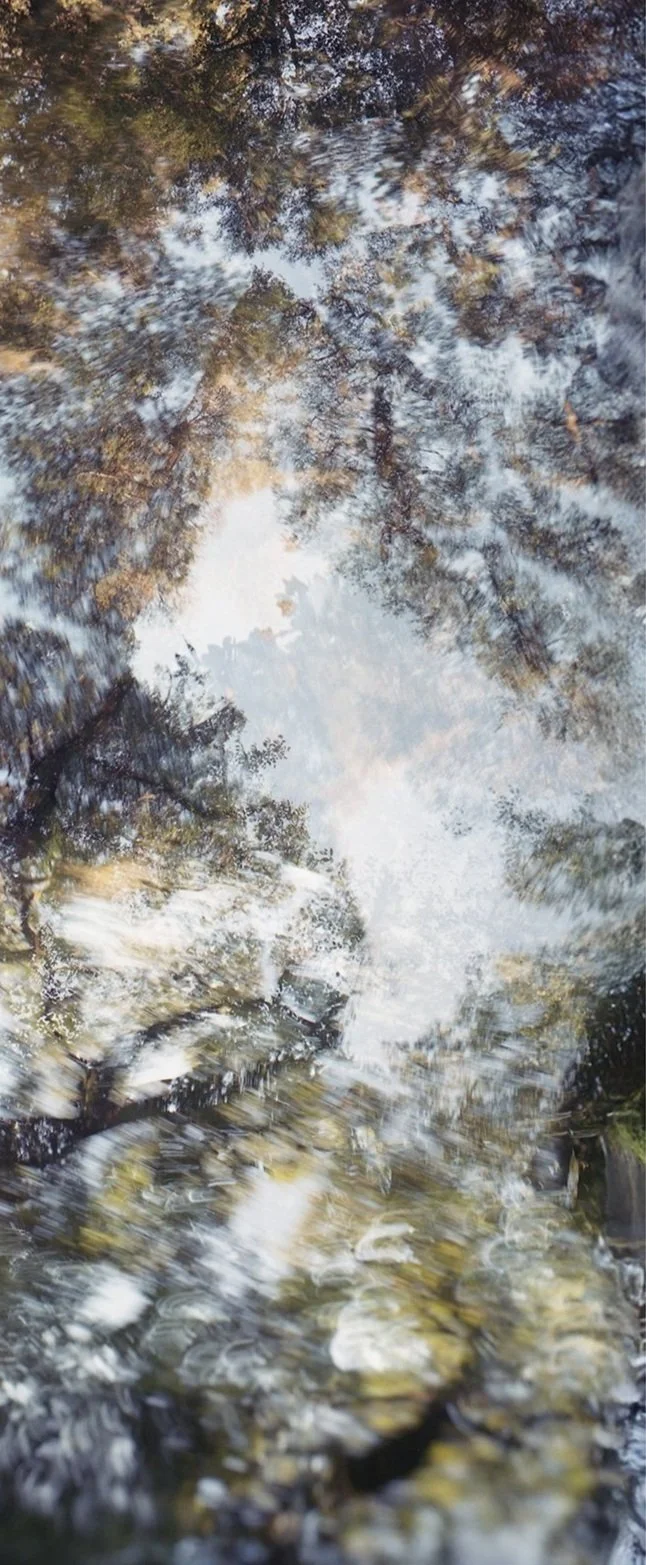 Reflejo de árboles en un cuerpo de agua que crea un efecto borroso y abstracto.