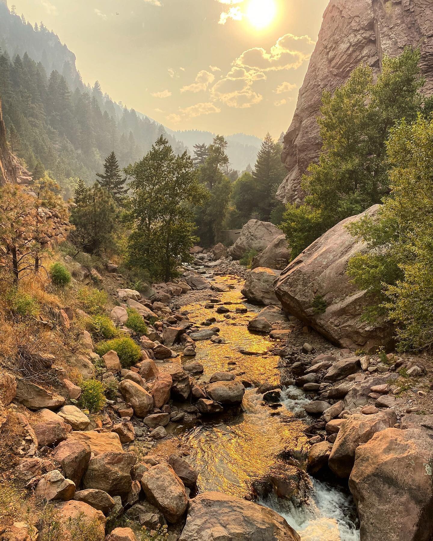 This past week&rsquo;s focus in Chrysalis was all about learning to cultivate patience, and we used nature as a guide. 

When you spend time in nature you begin to develop a new relationship with time. You quickly realize nature does not operate on t