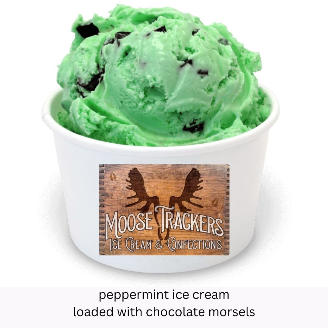 Mint Chocolate Chip