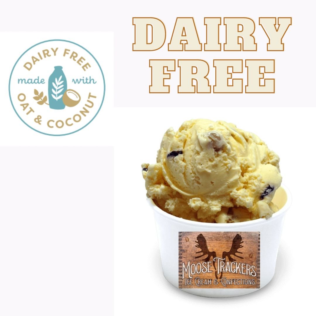 Dairy Free Chocolate Chip Cookie Dough