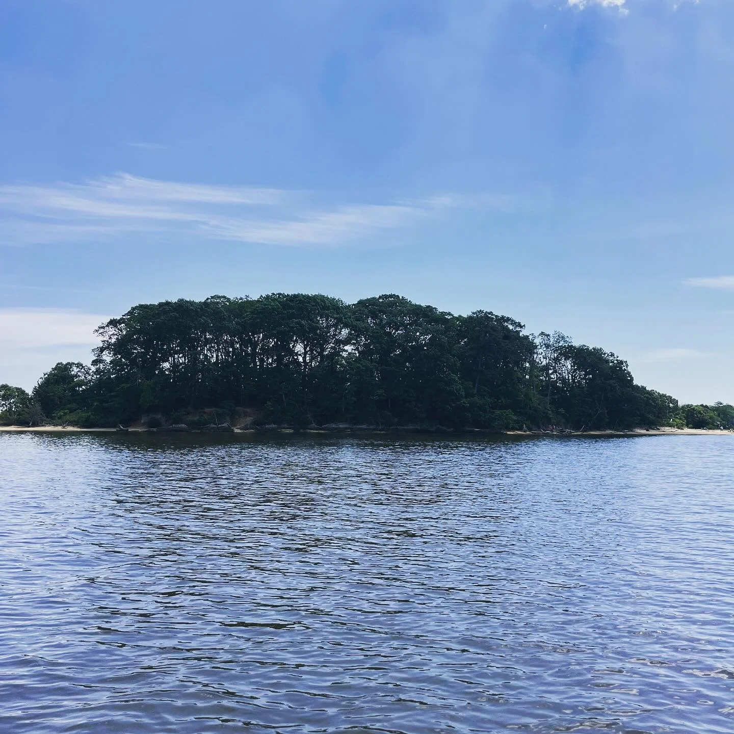 Good day for a treasure hunt #paddleout