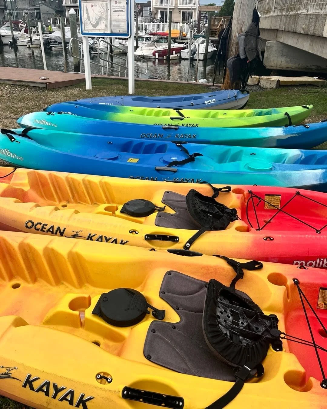 #paddleout
