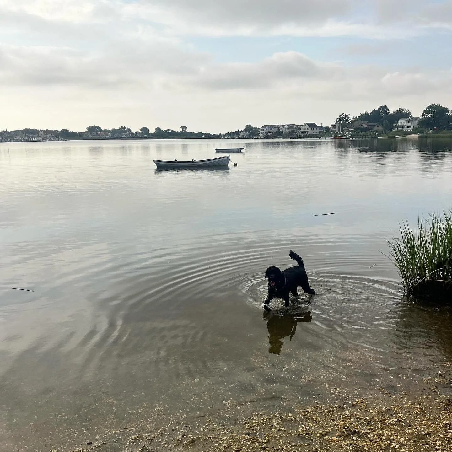 Morning conditions check with Ralph.  #paddleout
