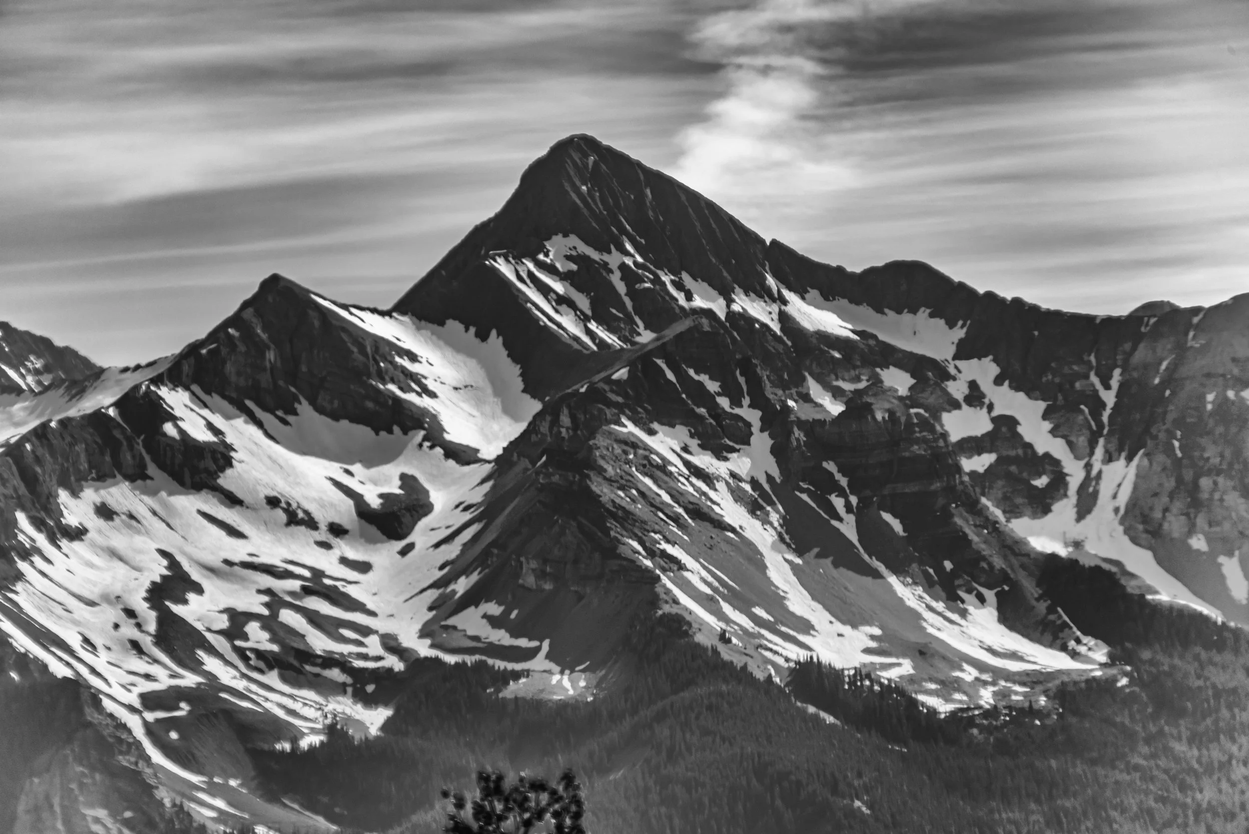 Telluride Scenes July 2019 Low Res-6.jpg