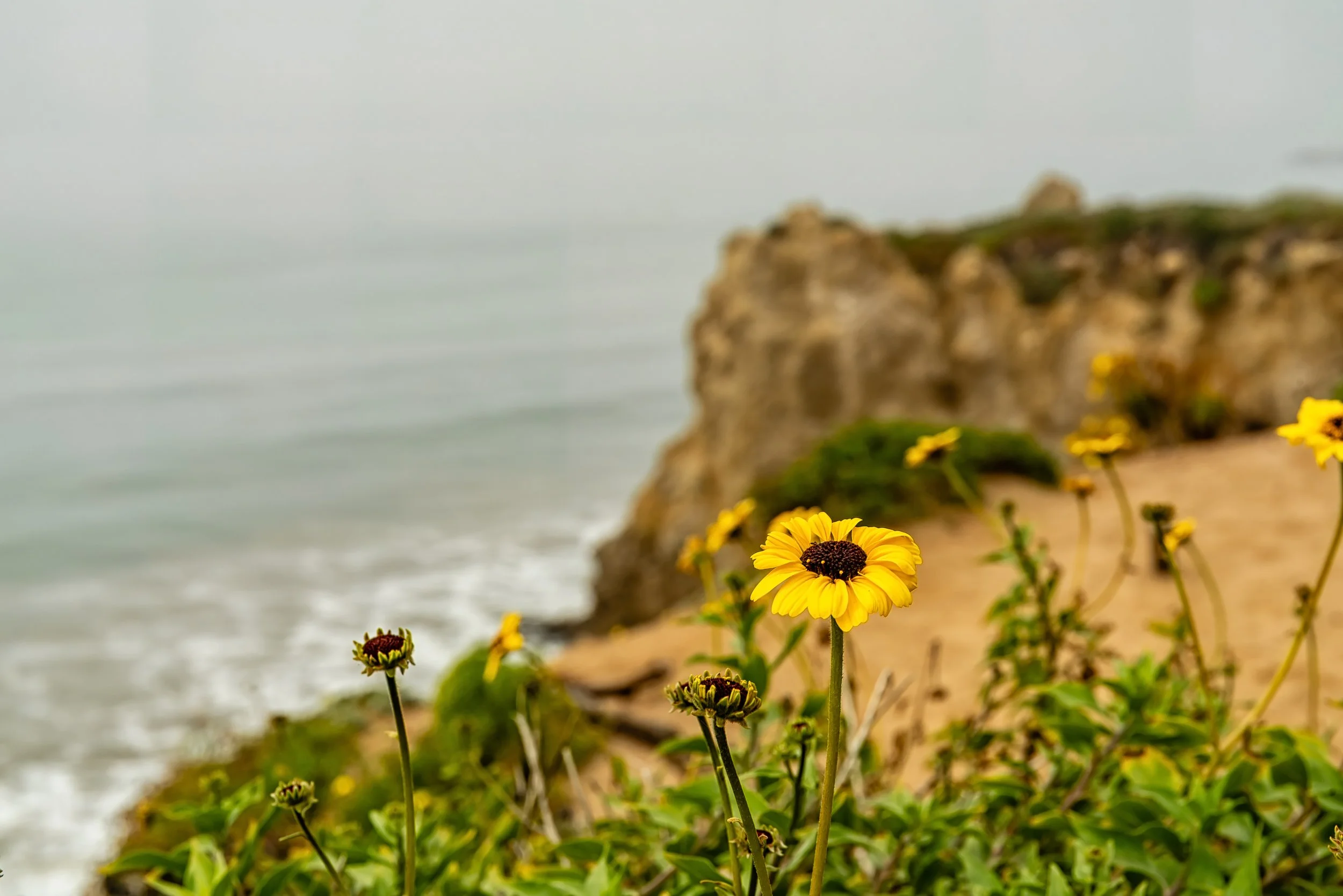 Spring Break 2024-39.jpg