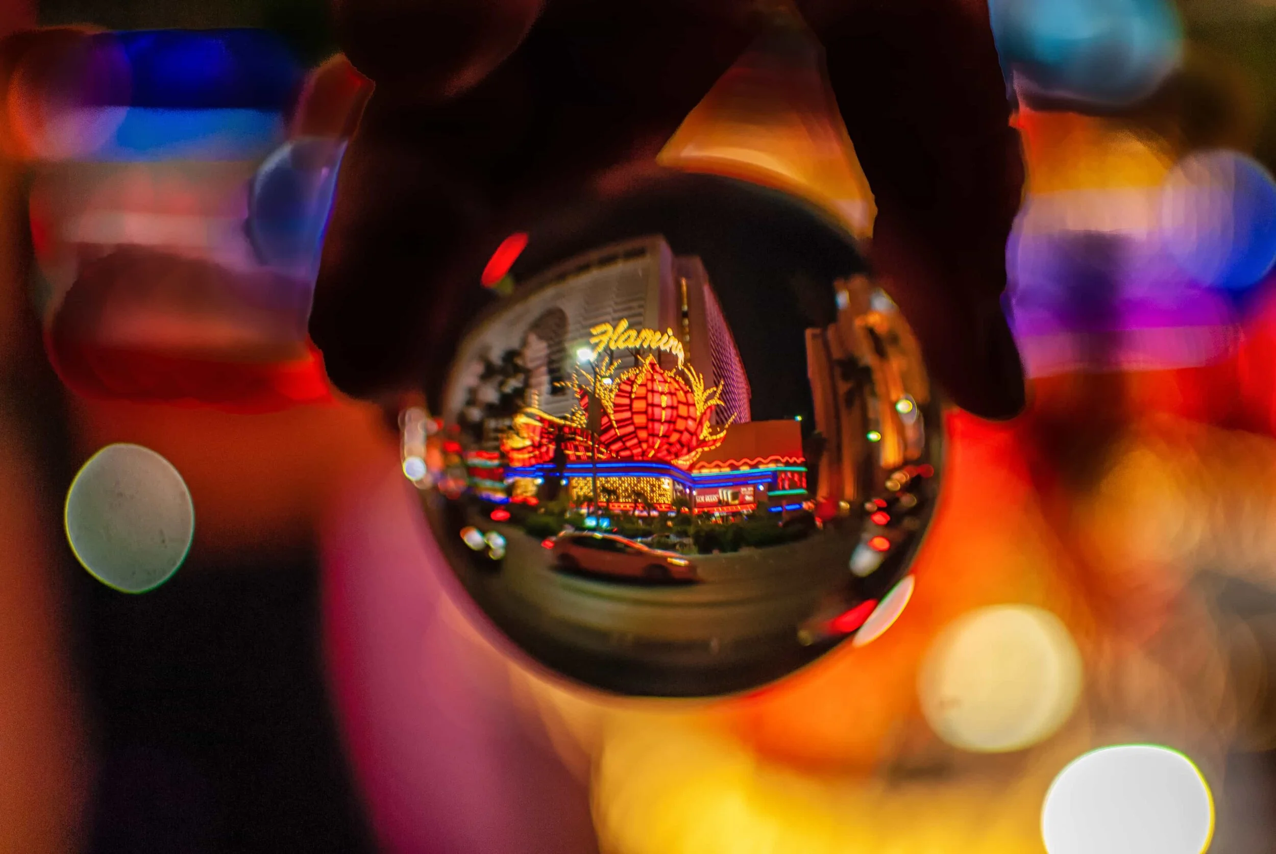 Laney Family Vacation 2019-126.jpg