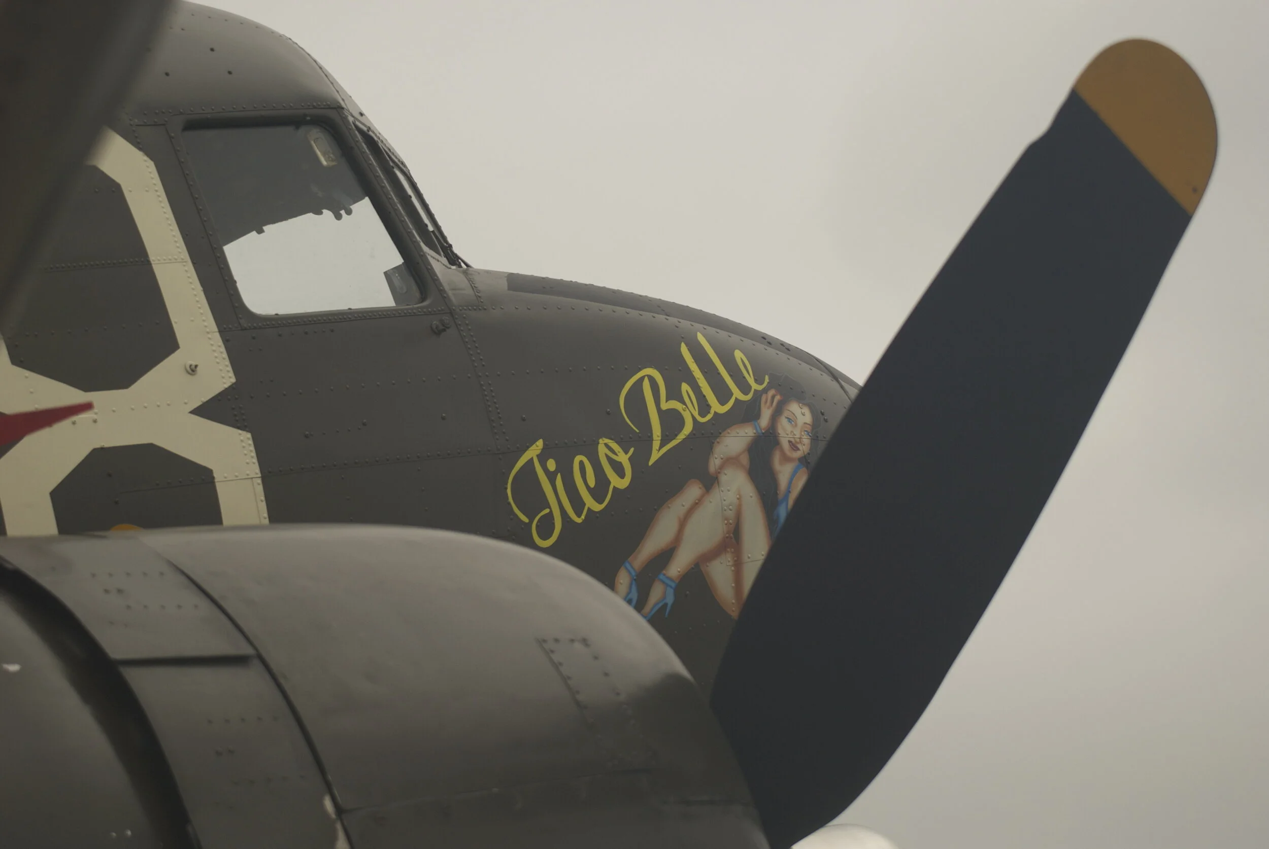 DSC_4592.jpg