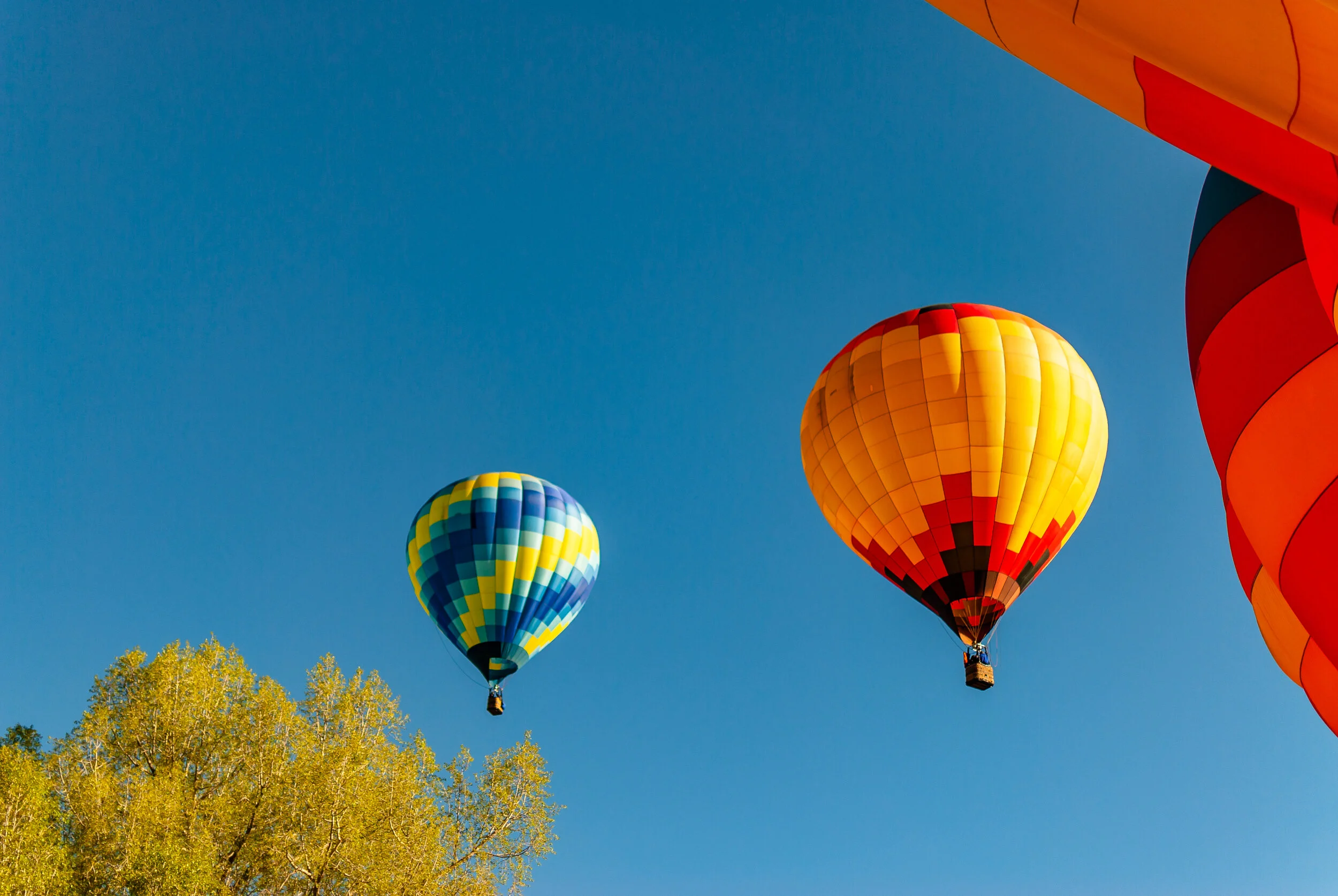 6.03.18 Telluride Balloon Fest-103.jpg
