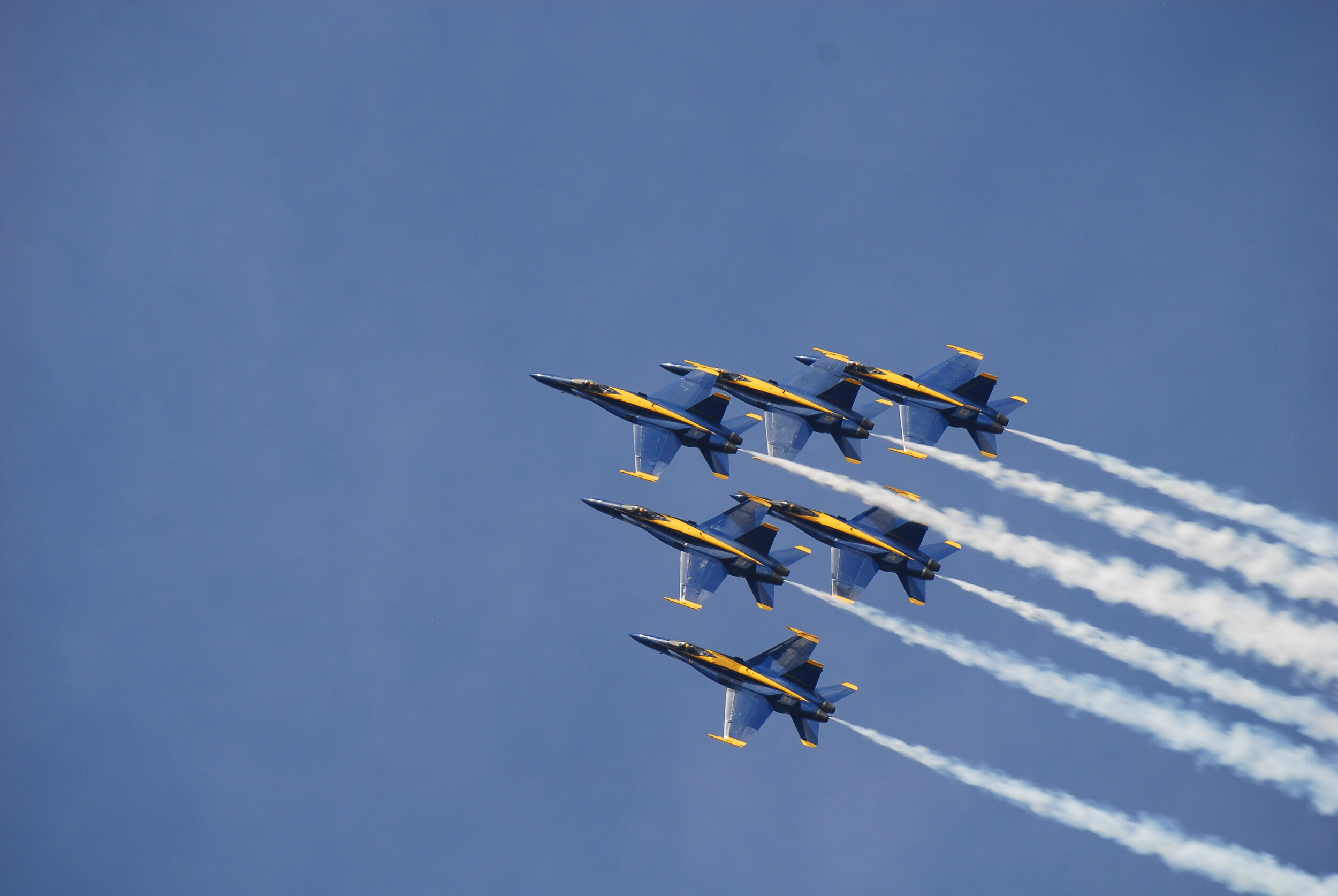 DSC_0800.JPG