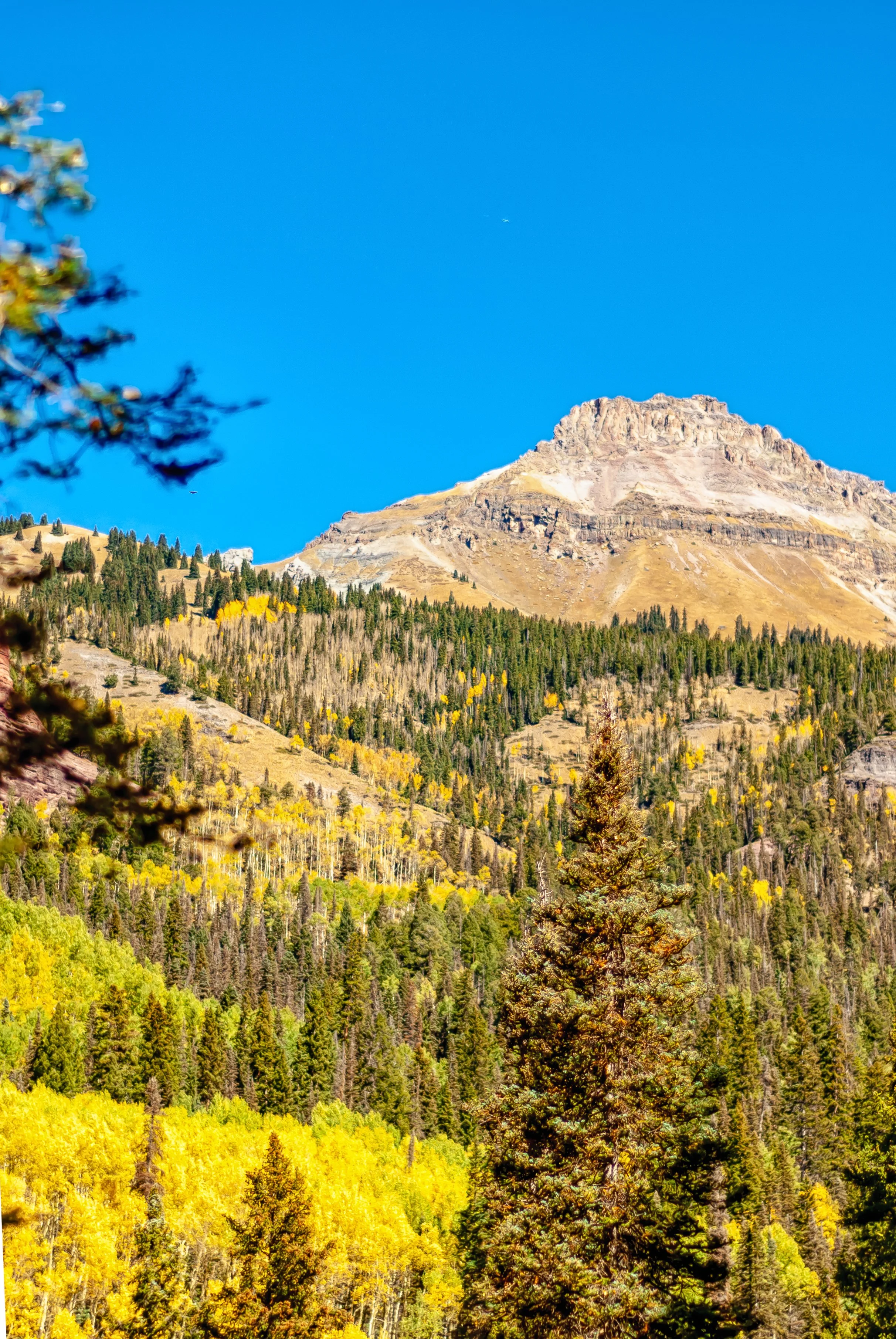9.30.18 Fall Colors-4.jpg