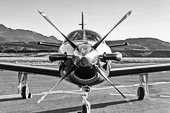 8.10.20 David Heaney TBM 700-20.jpg