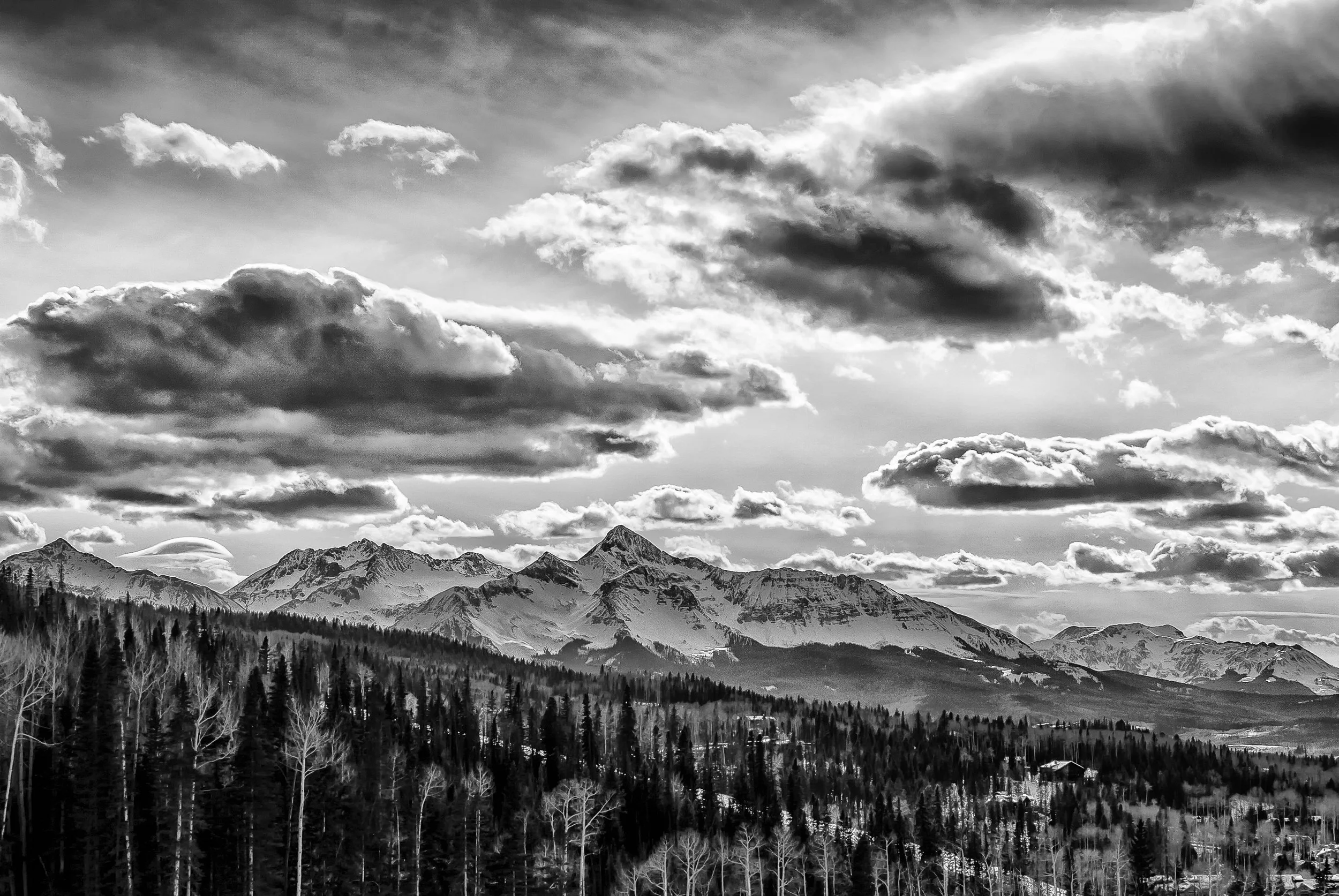 TRL Landscapes Final-5.jpg