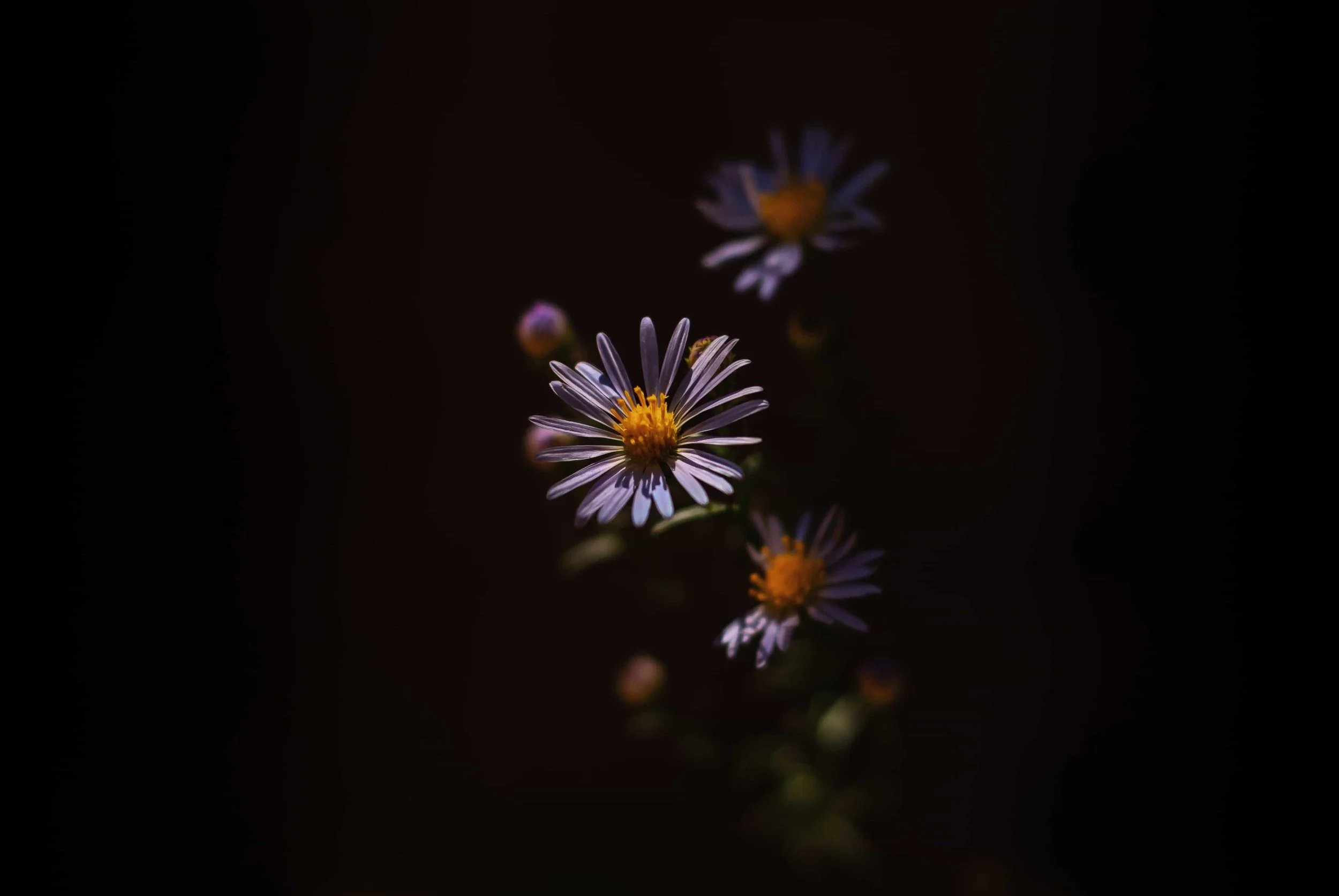 9.26.18 Canyonlands and Moab-9.jpg