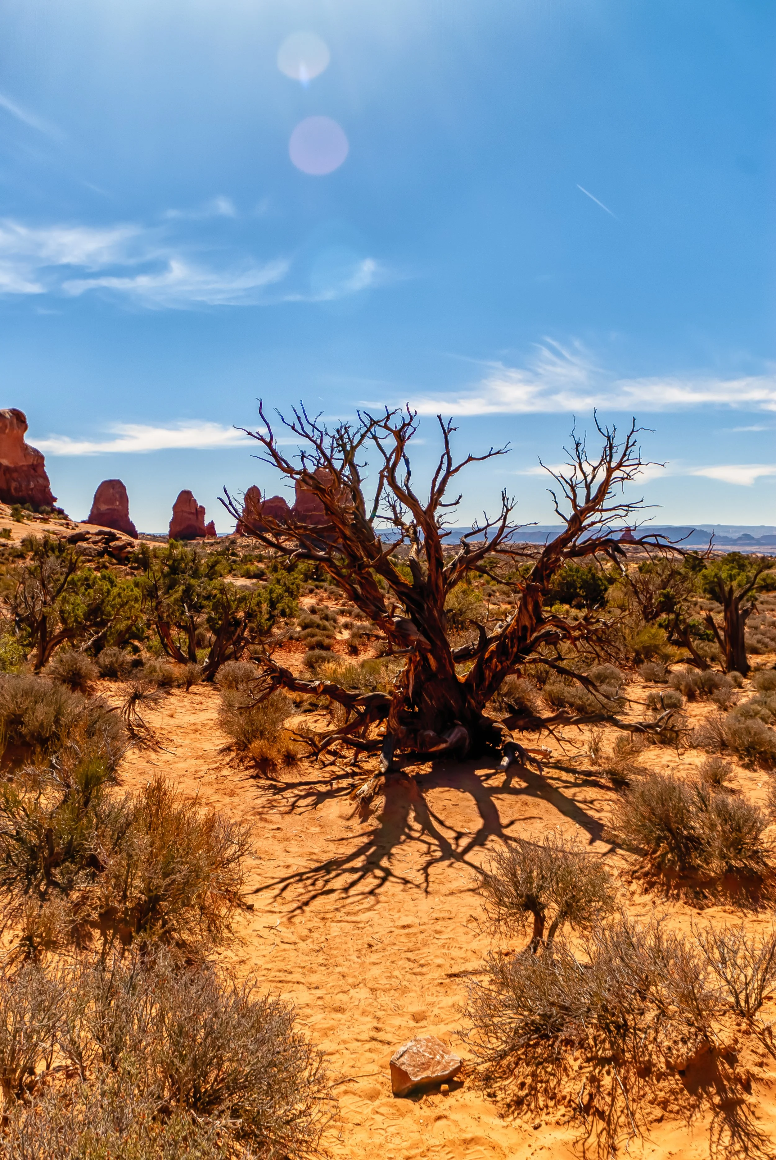 9.26.18 Canyonlands and Moab-76.jpg