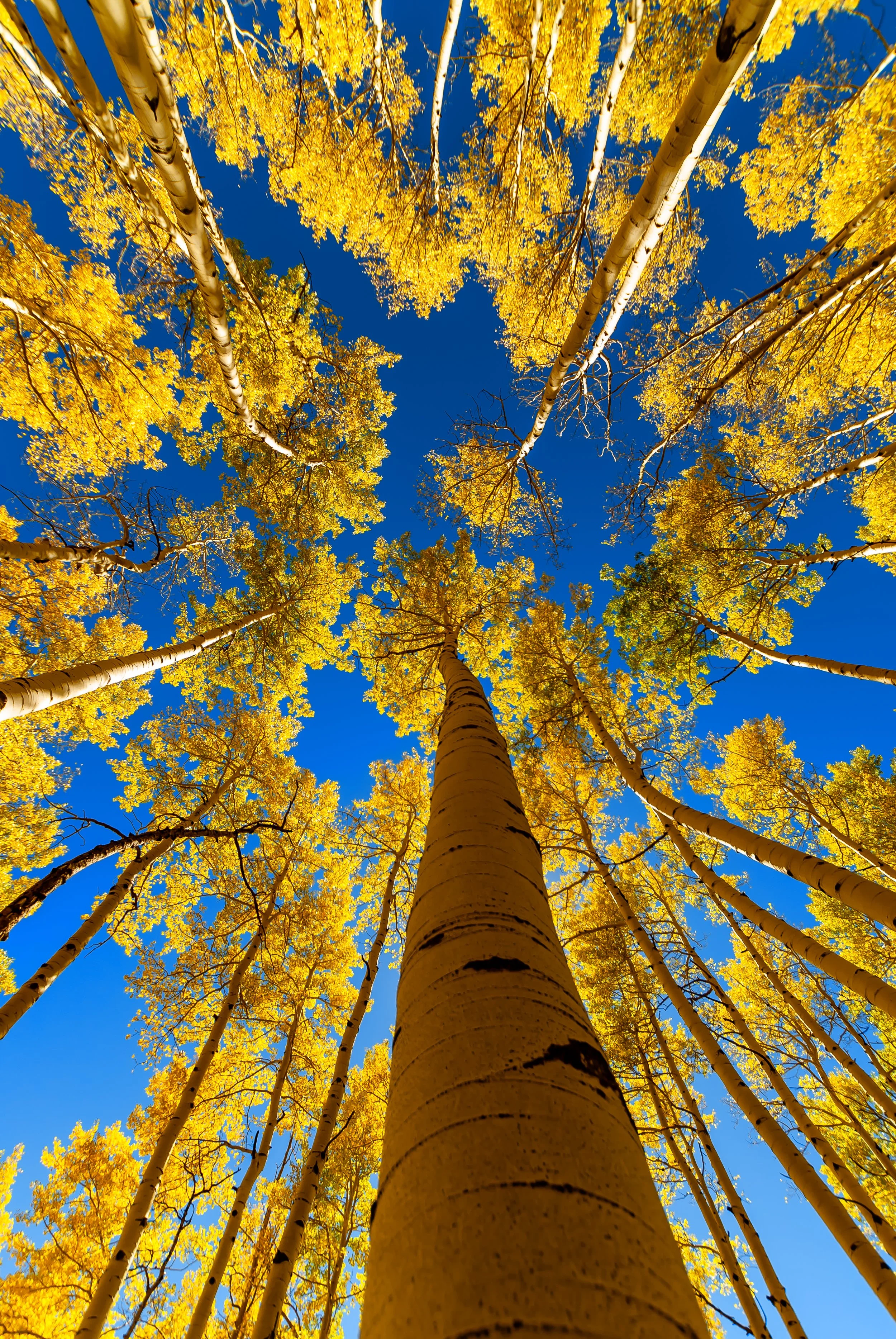 9.30.18 Fall Colors-52.jpg