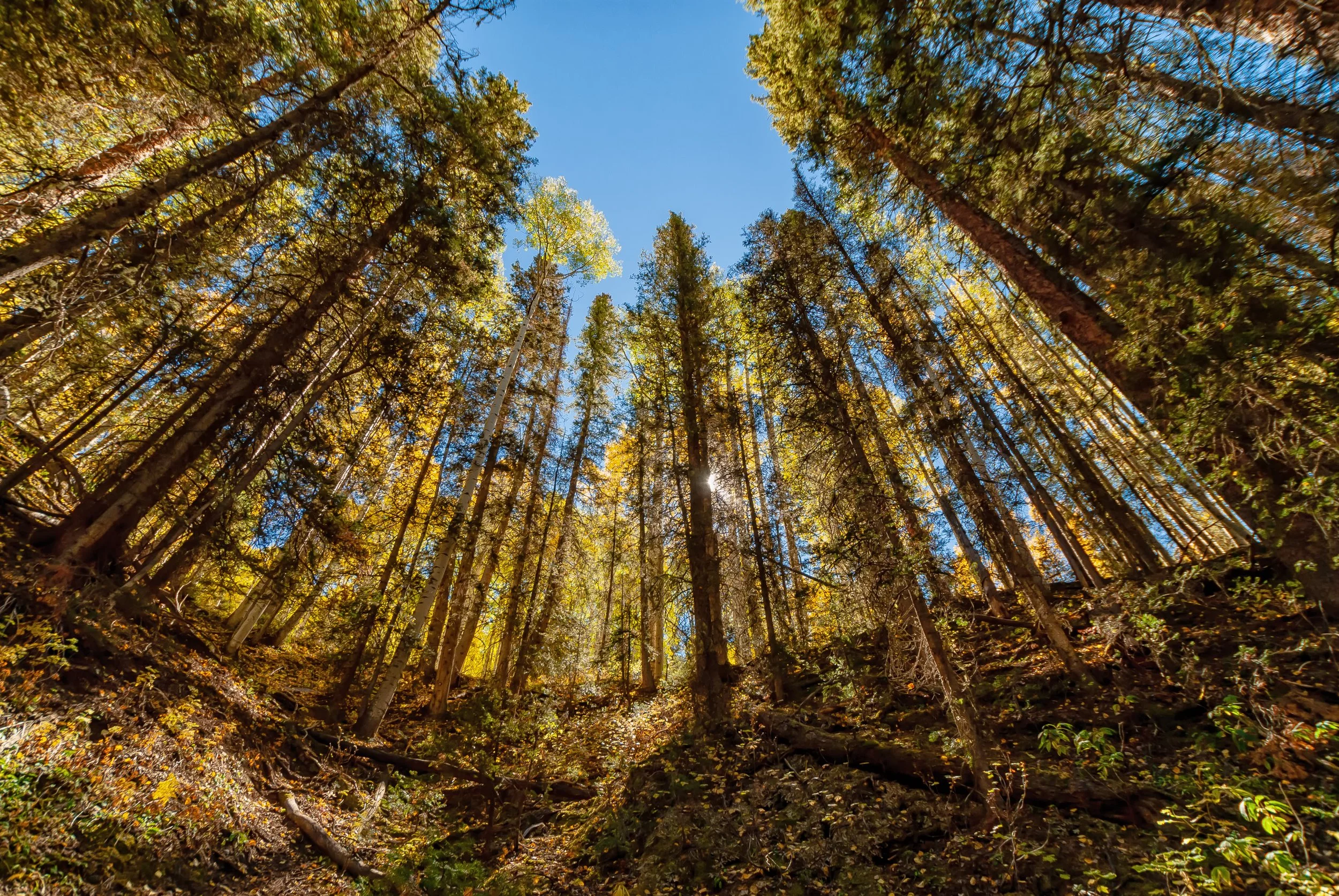 9.30.18 Fall Colors-34.jpg