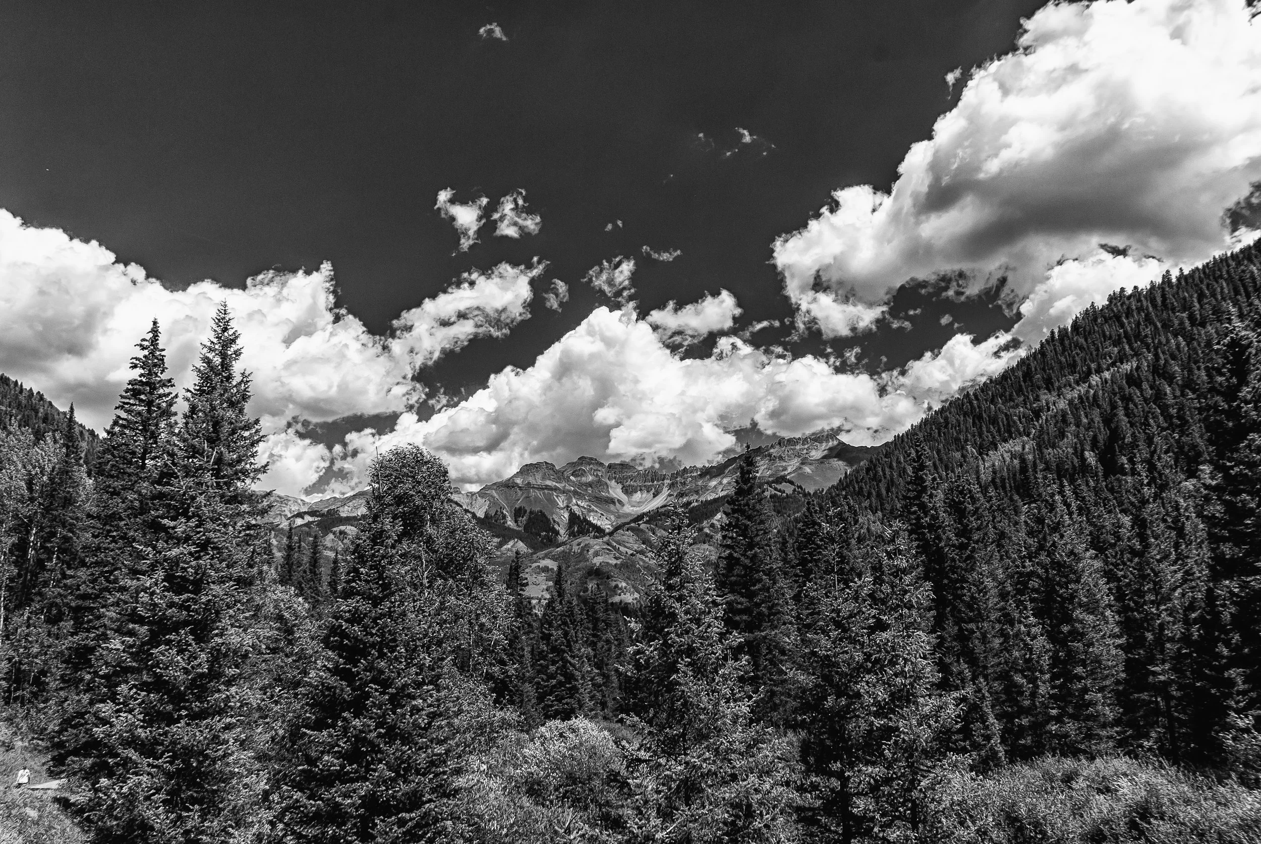 Bear Creek 8.05.18-7.jpg