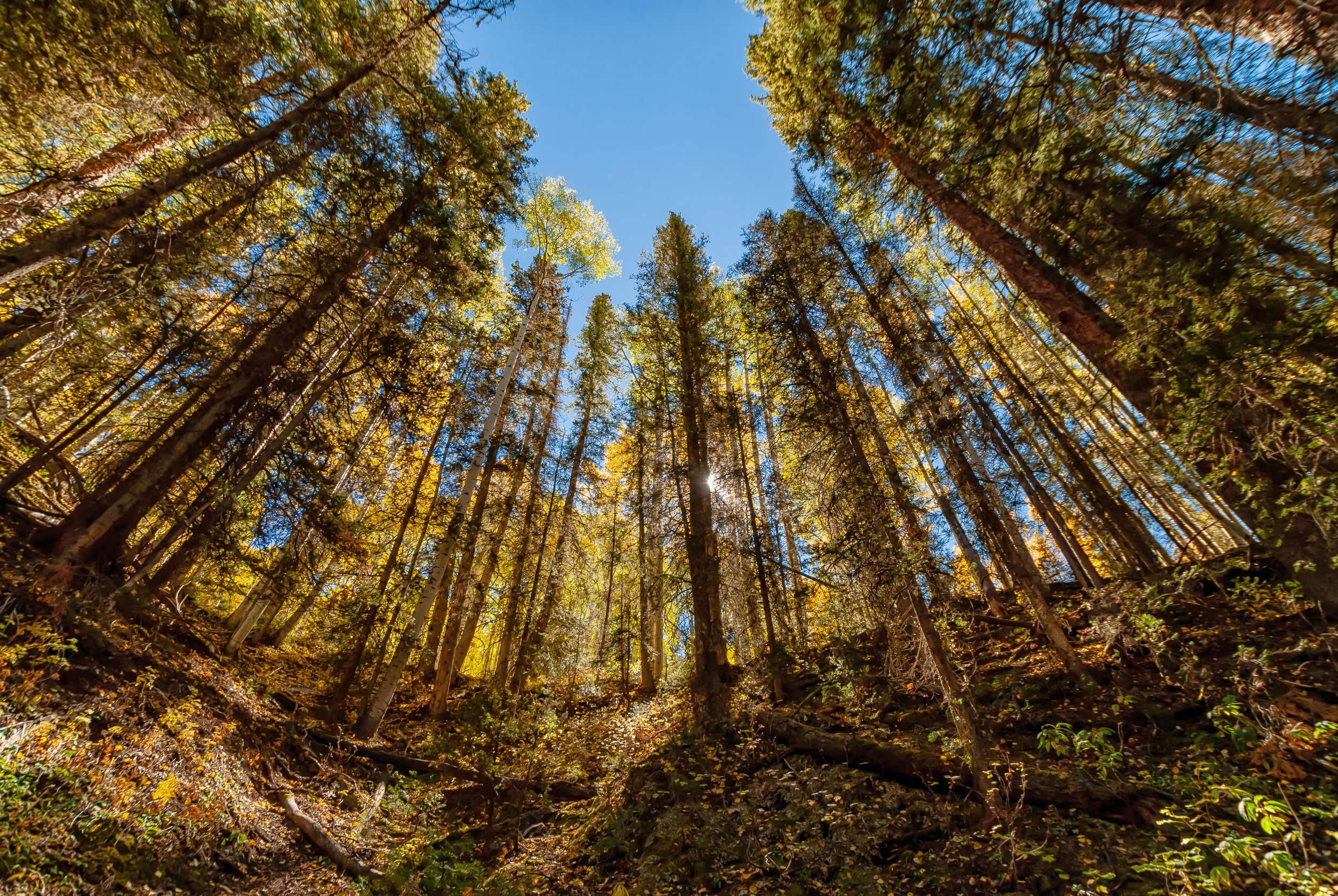 9.30.18 Fall Colors-34.jpg
