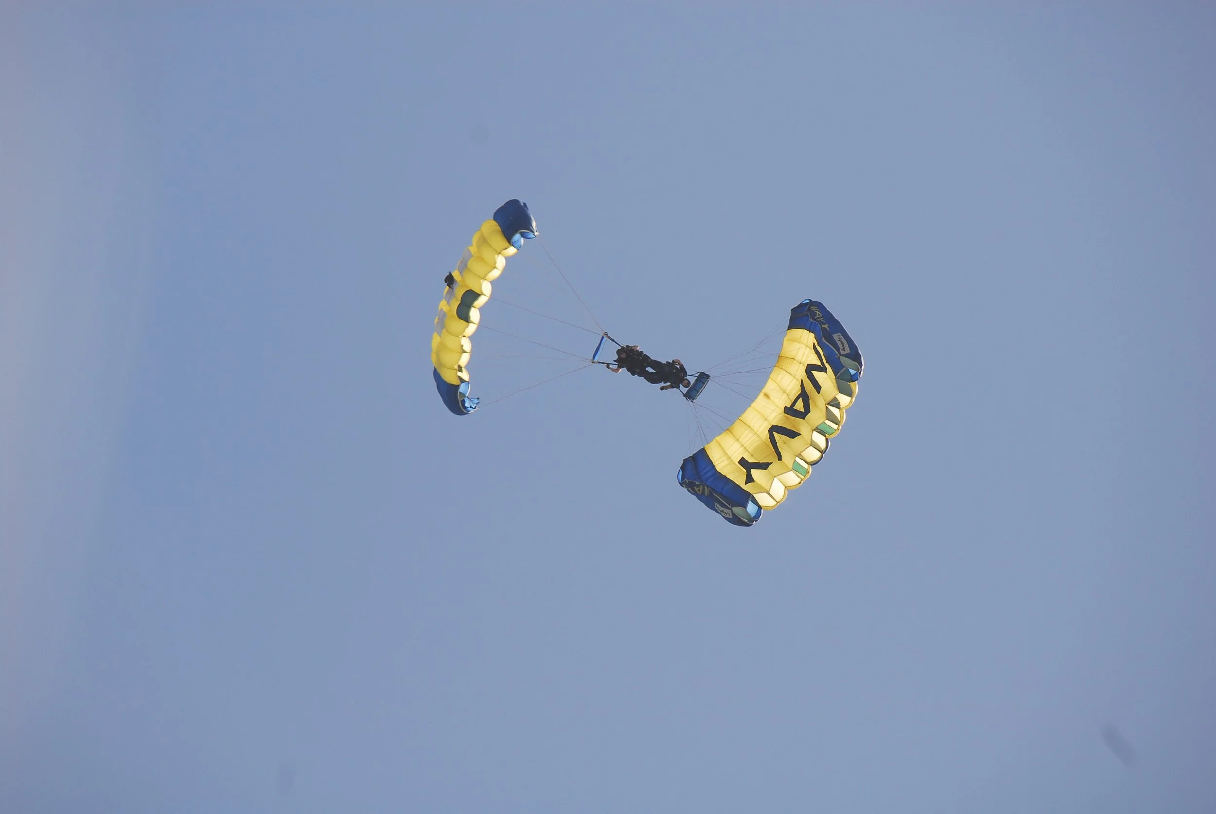 DSC_1441.JPG