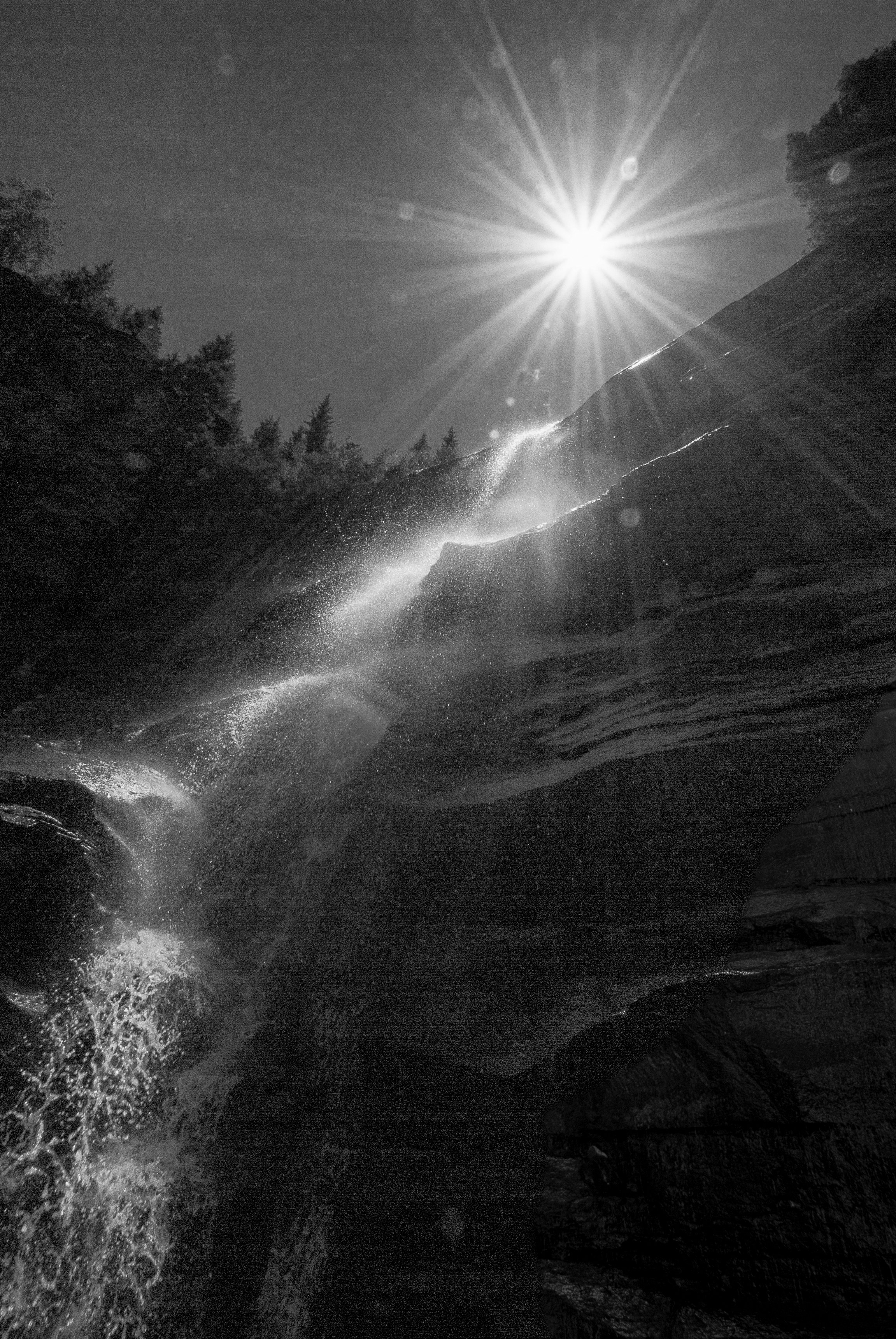 Bear Creek 8.05.18-15.jpg