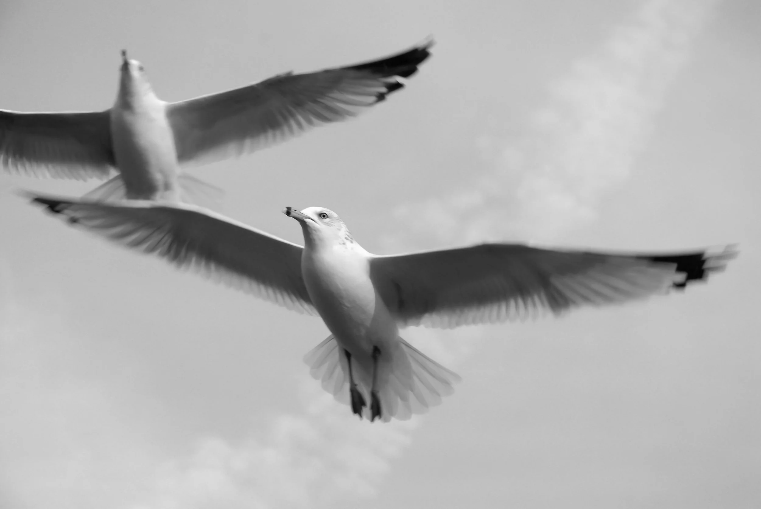 untitled-1398-2.jpg
