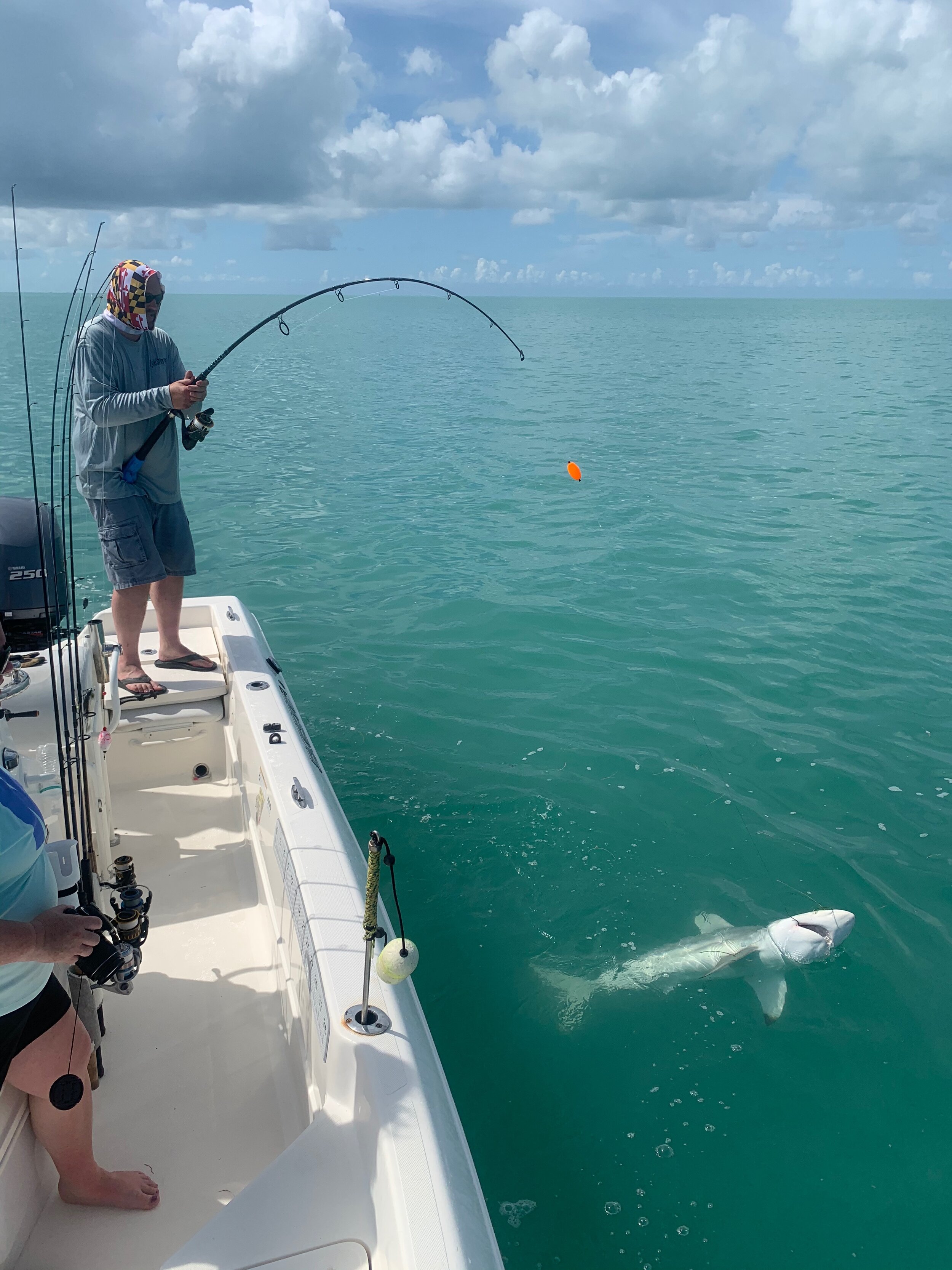 Florida Keys Shark Fishing — Backcountry fishing, Flats Fishing