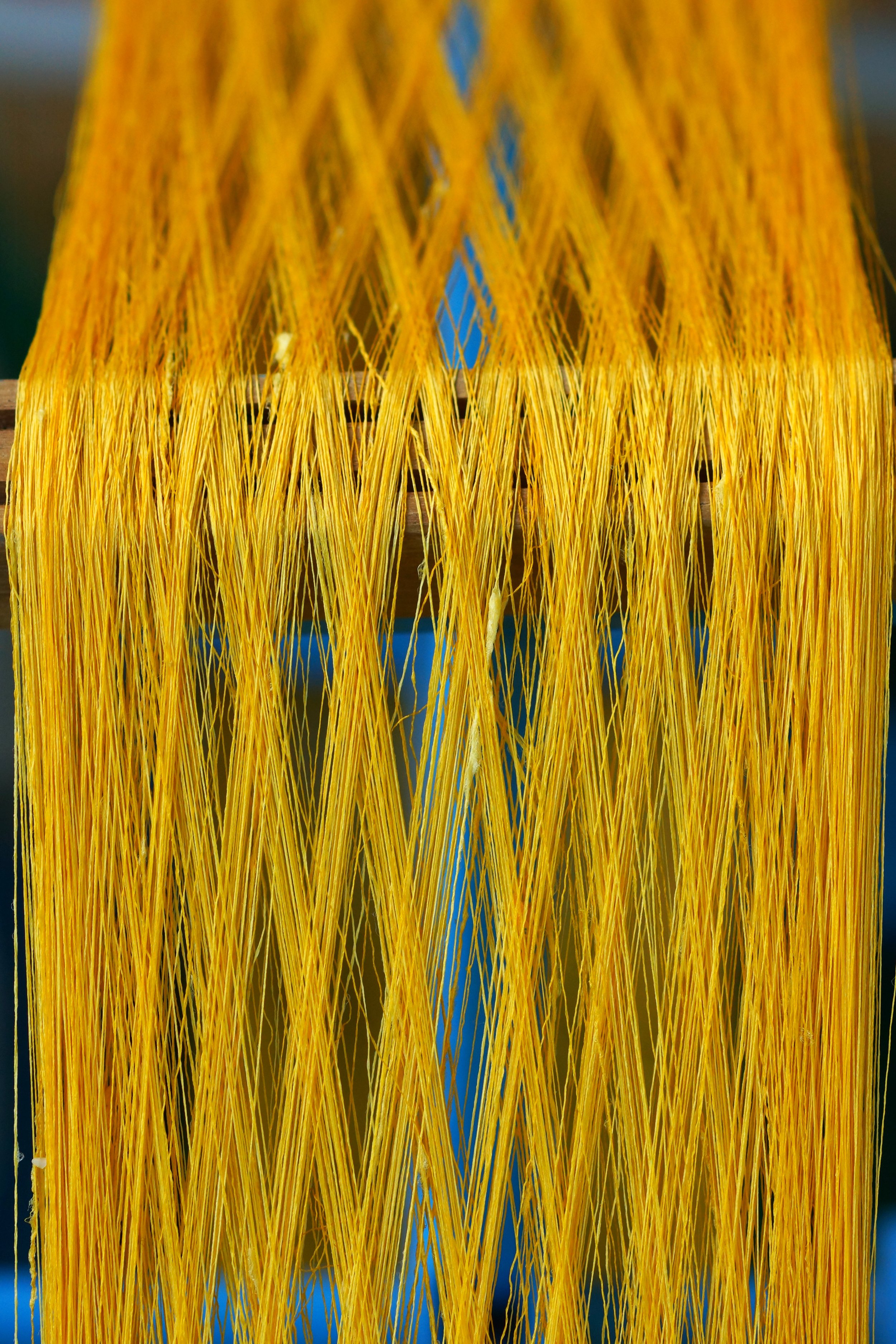 From ‘Bid to Business as Usual’: Building a Golden Thread That Stops Margin Leakage