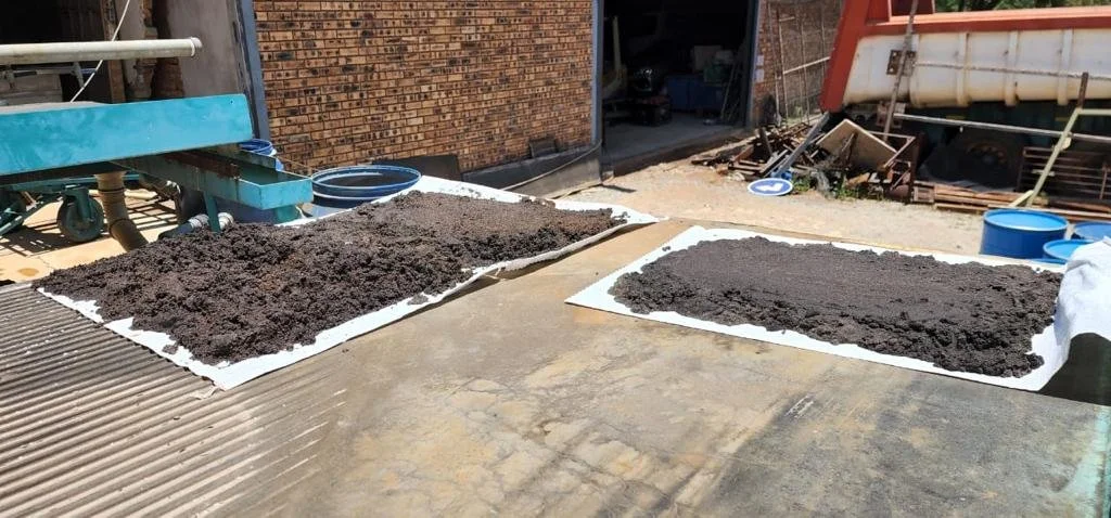 Two large trays with dark, moist soil placed on a wooden table outdoors near a brick building, with various tools and buckets visible in the background.