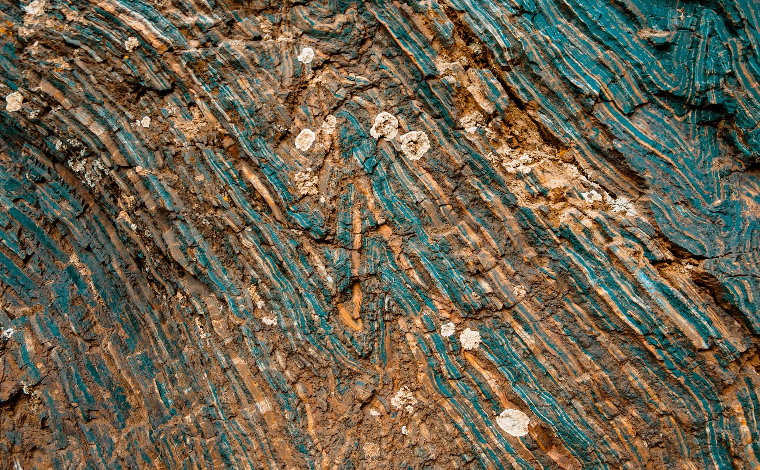 AdobeStock_91074297.jpg