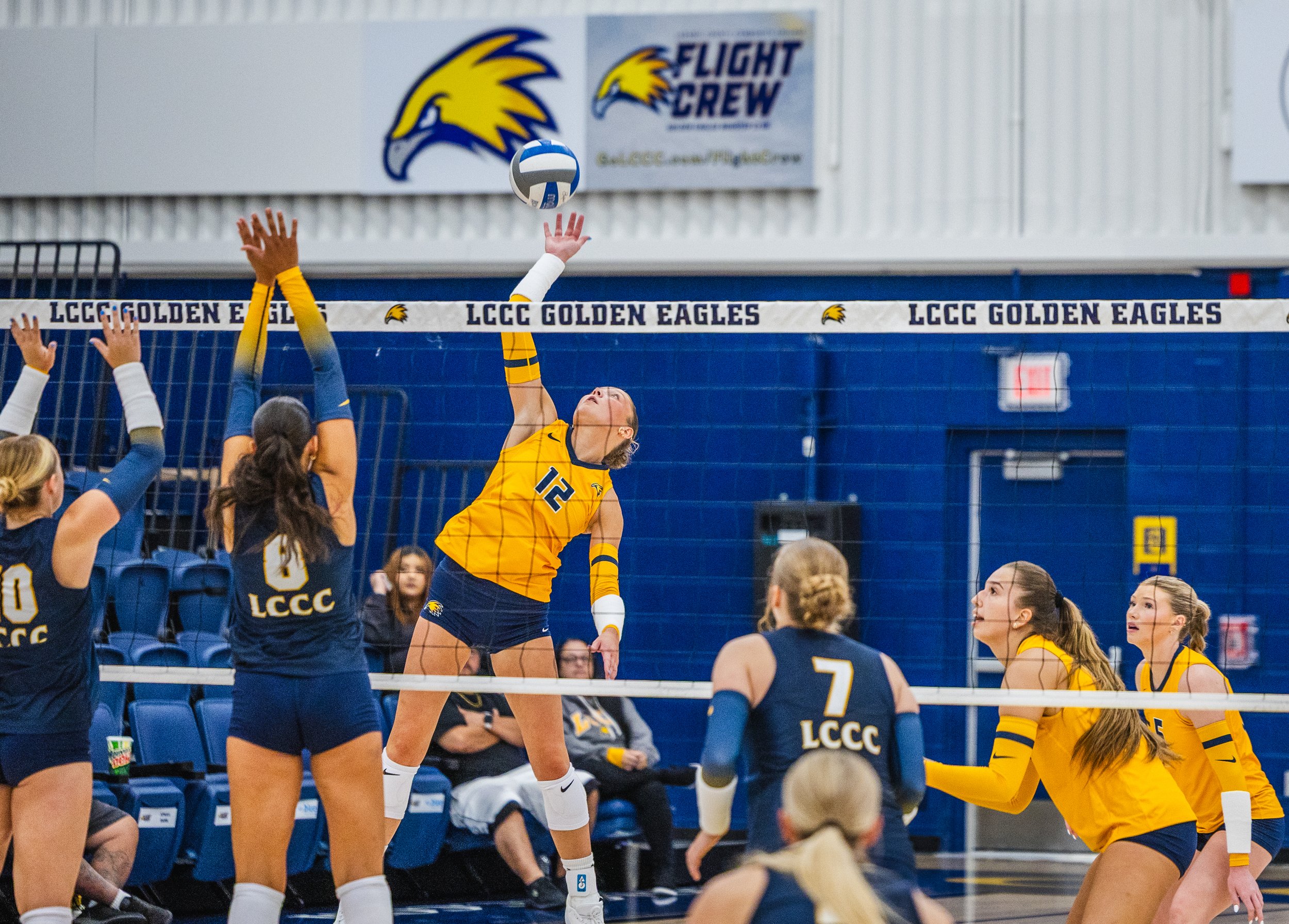 2026-08_Volleyball Blue vs. Gold Scrimmage_NS-17.jpg