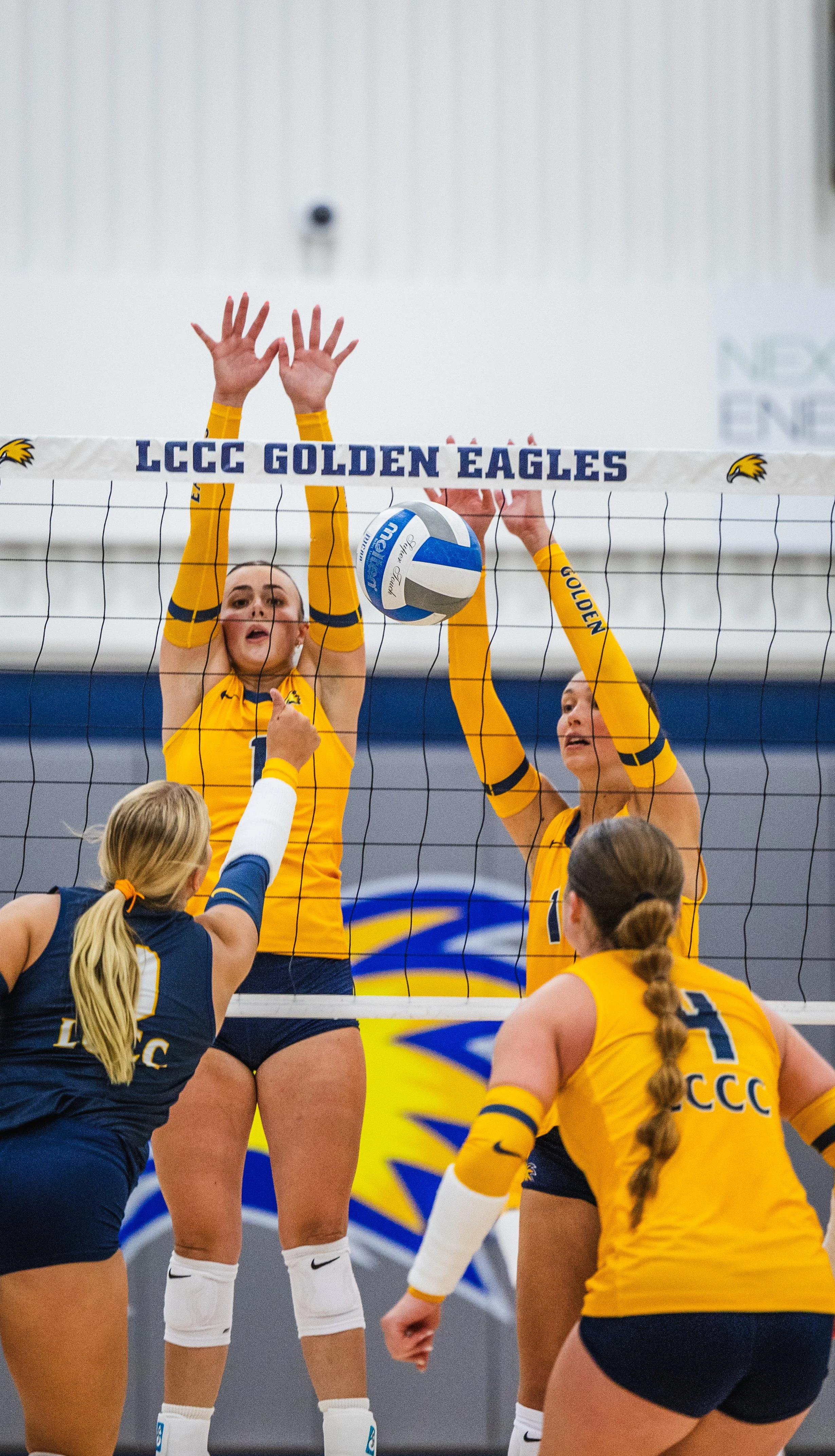 2026-08_Volleyball Blue vs. Gold Scrimmage_NS-07.jpg