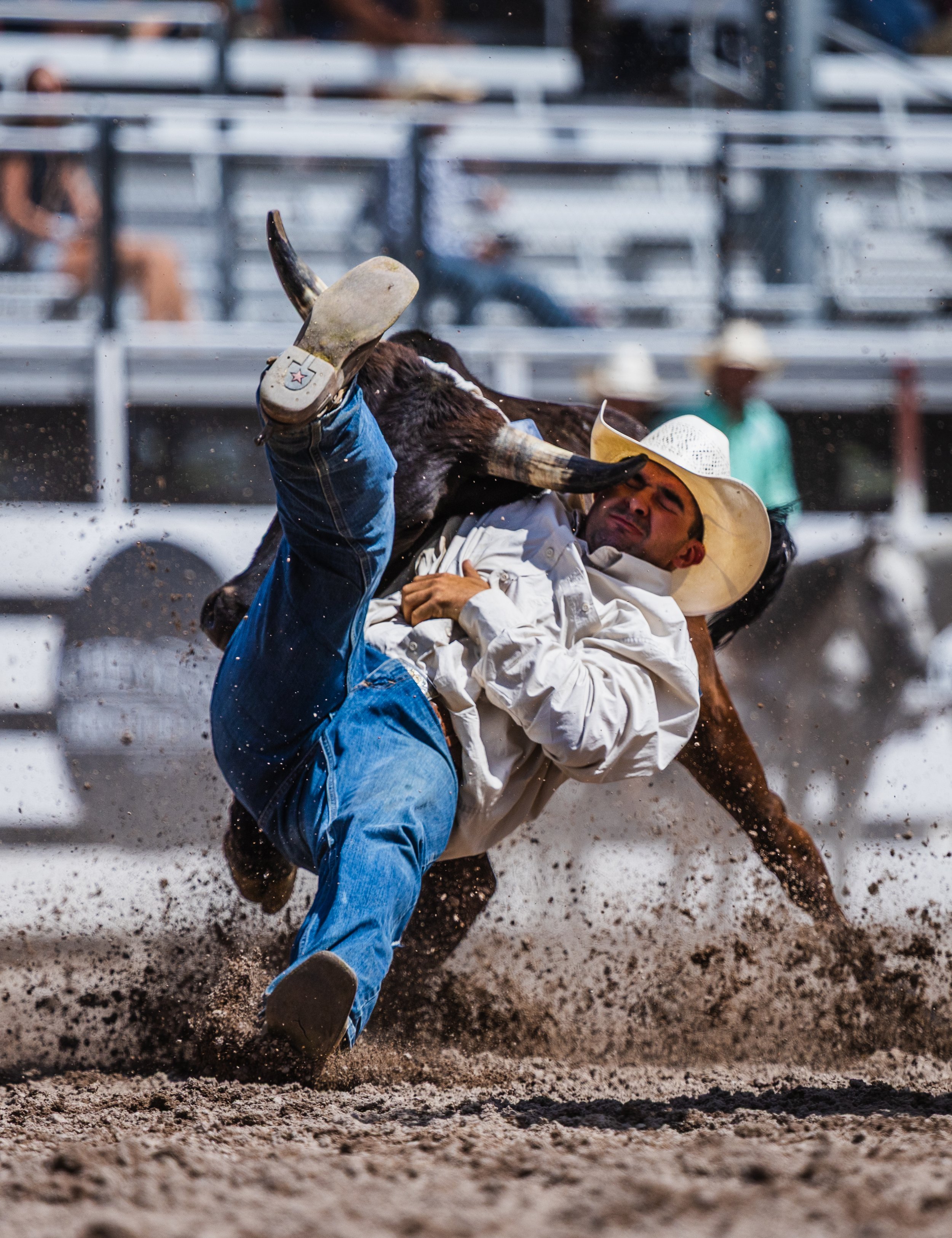 2026-07_CFD_Steer Wrestling_NS-2.jpg