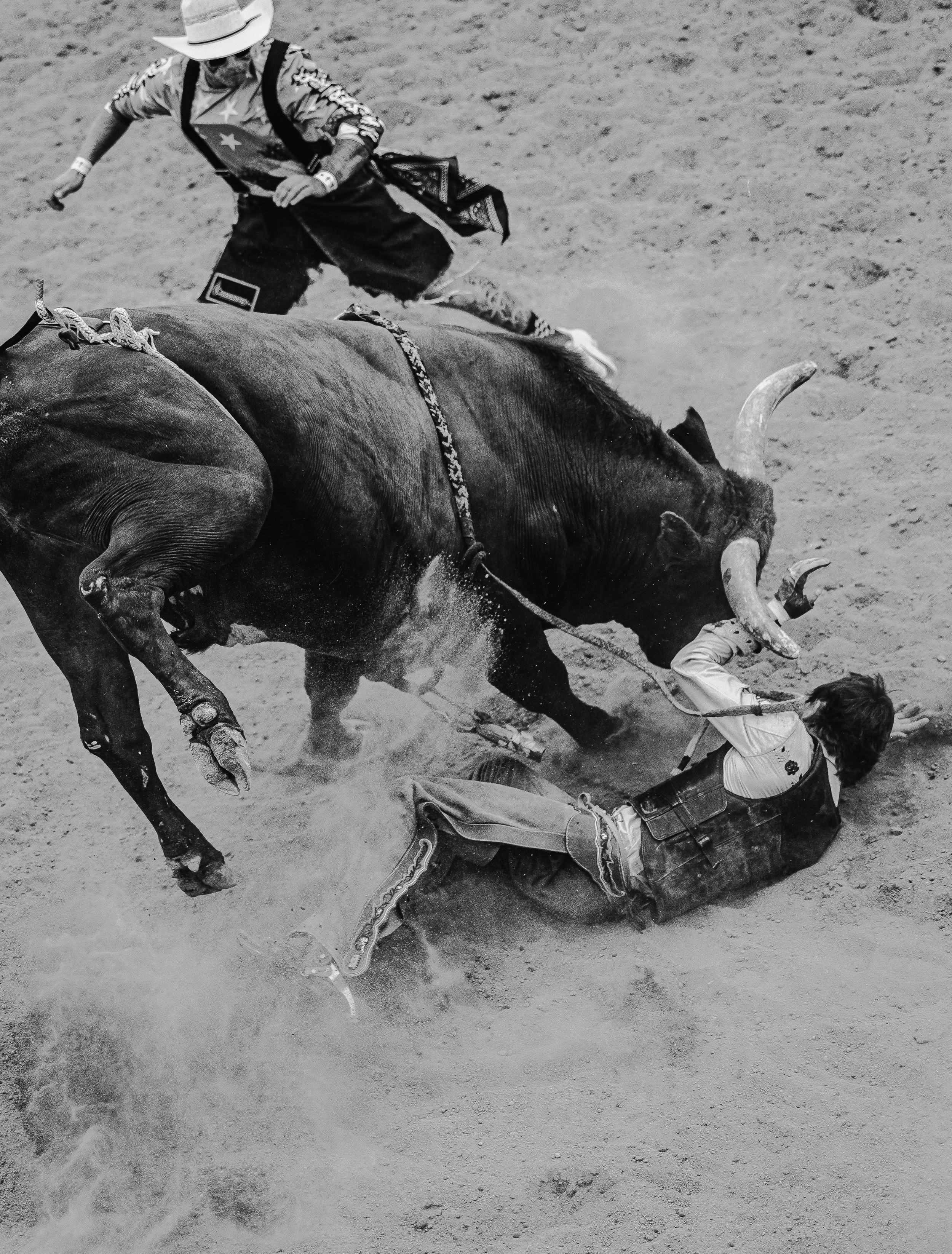 20260809_BCF_Mexican Rodei_NS-038.jpg