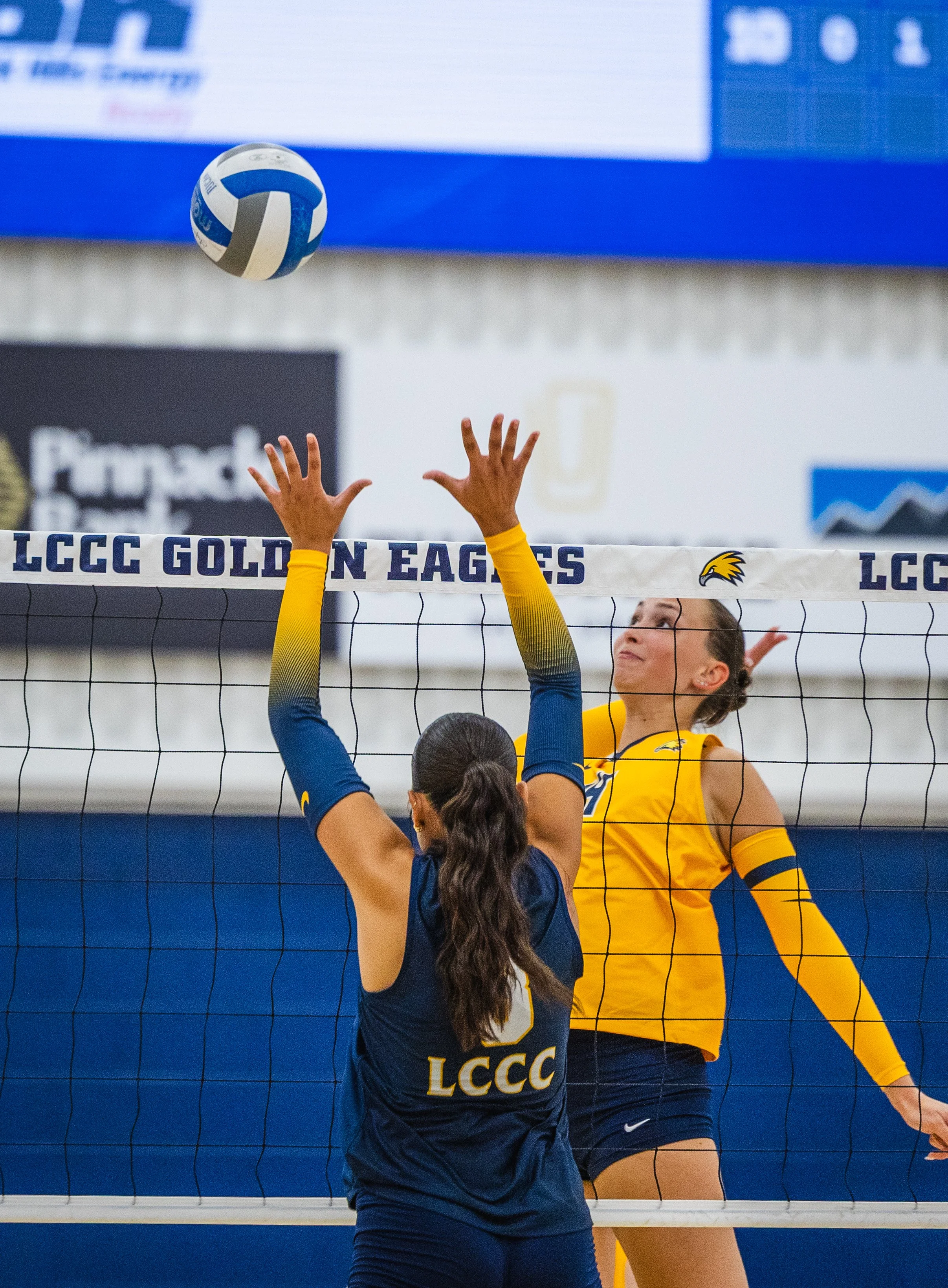 2026-08_Volleyball Blue vs. Gold Scrimmage_NS-14.jpg