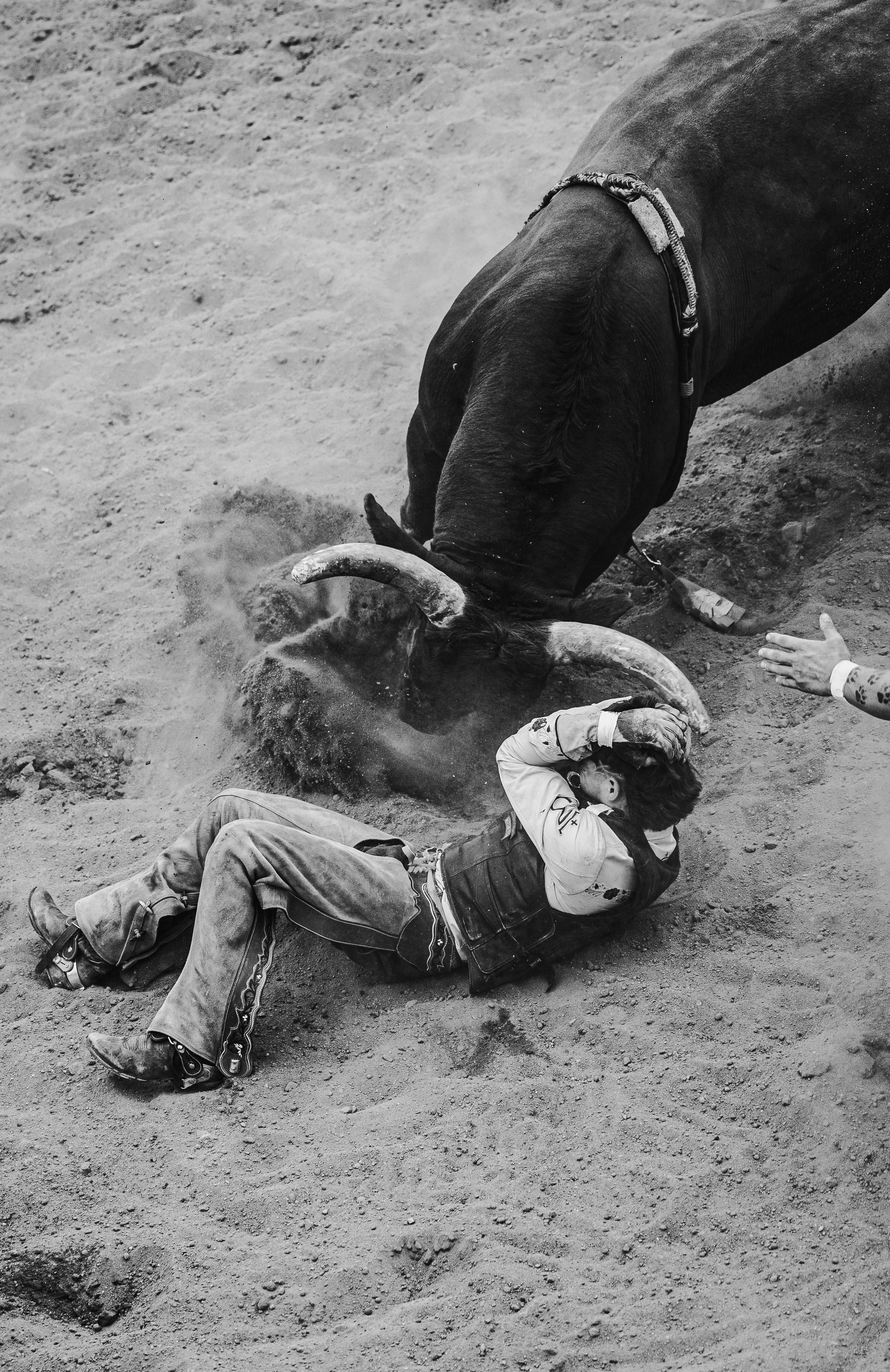 20260809_BCF_Mexican Rodei_NS-035.jpg