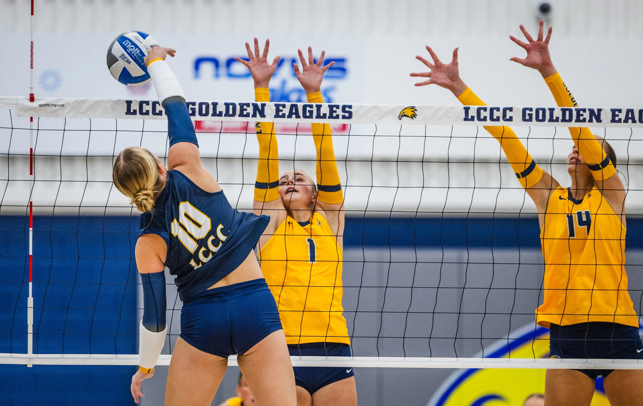 2026-08_Volleyball Blue vs. Gold Scrimmage_NS-12.jpg